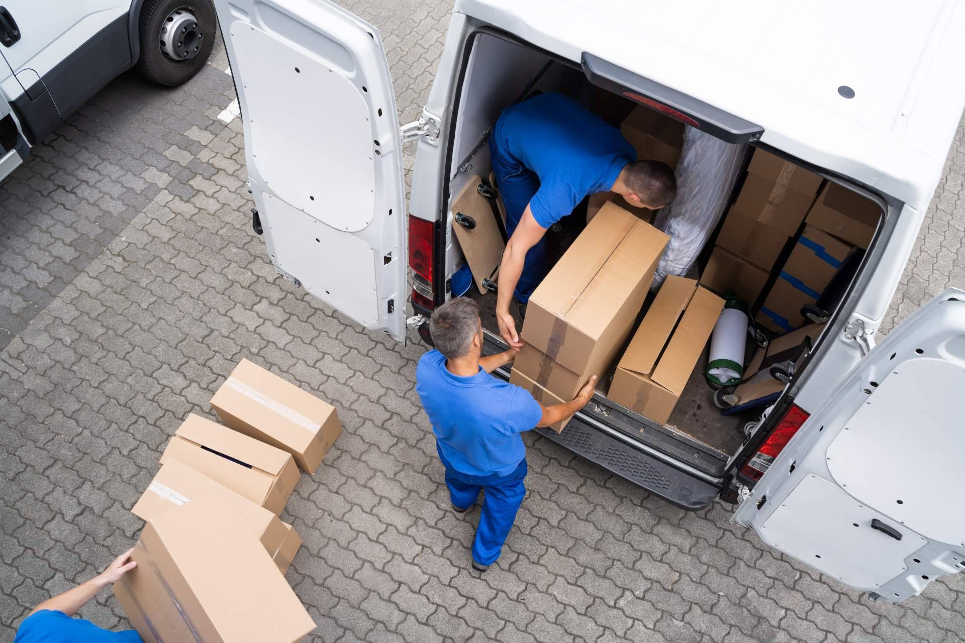 Dámelo Dámelo ofrece servicios de mudanzas