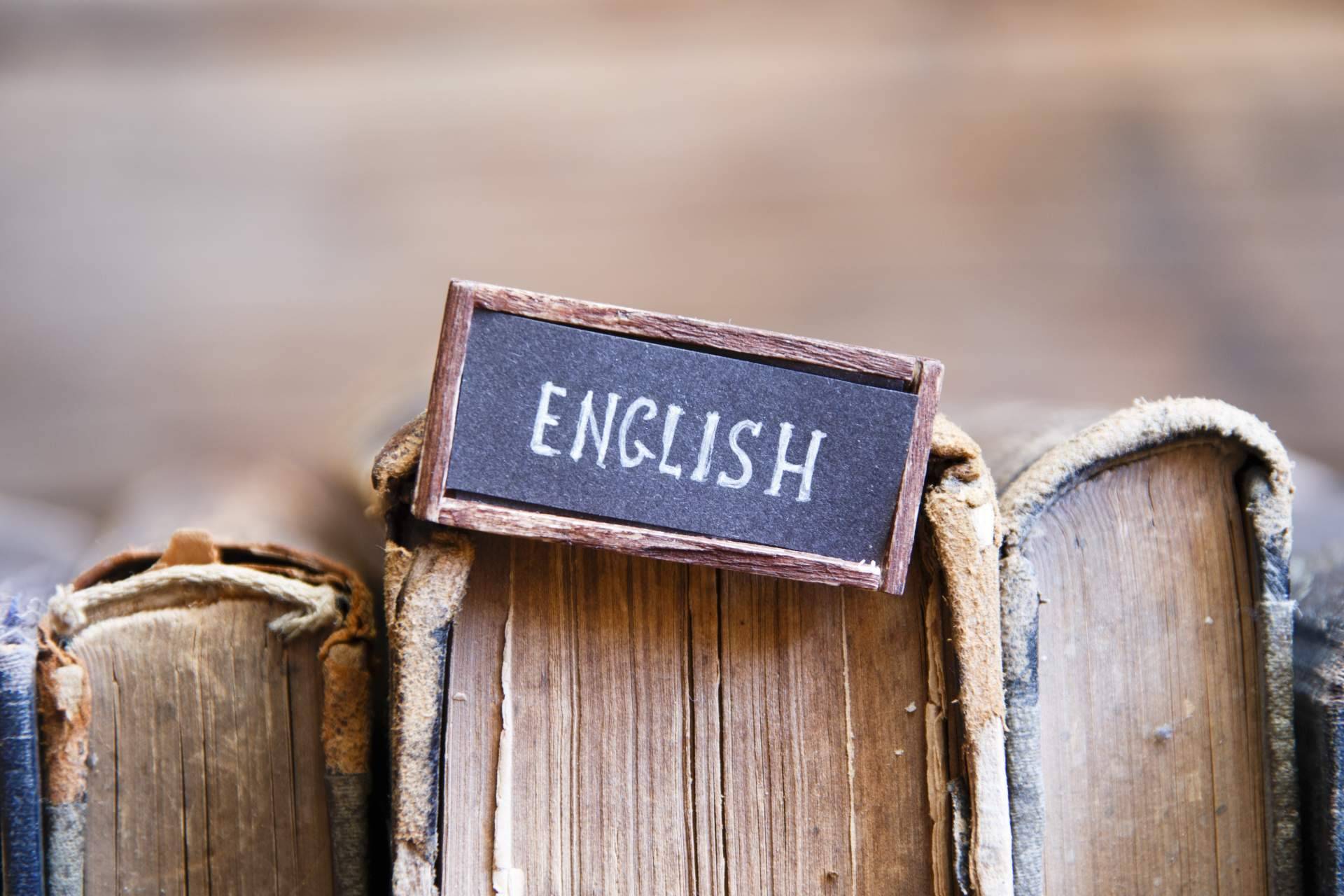 Cursos diseñados según la edad del estudiante, programas de formación en el extranjero y titulaciones oficiales en la academia de inglés Varona’s Institute