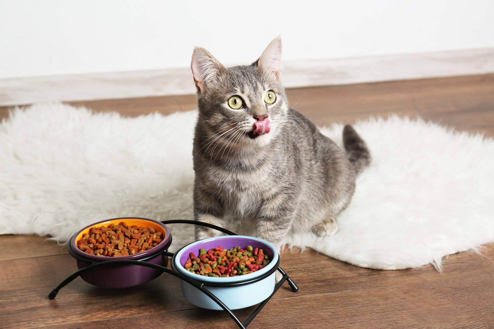 Pelu2paradise ofrece alimentación y snacks de origen natural para mascotas