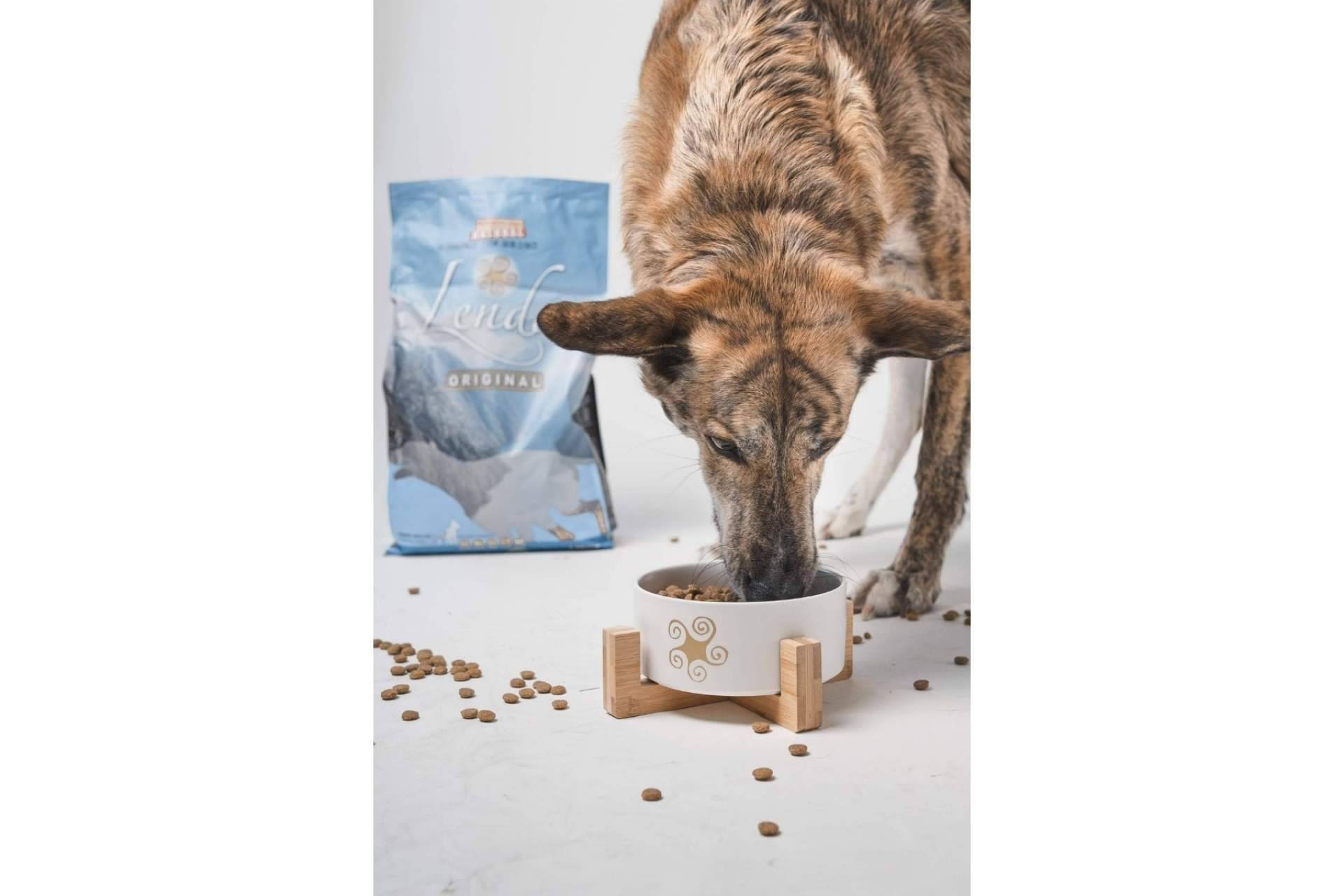 Lenda dispone de Lenda Light, la alimentación para perros con sobrepeso