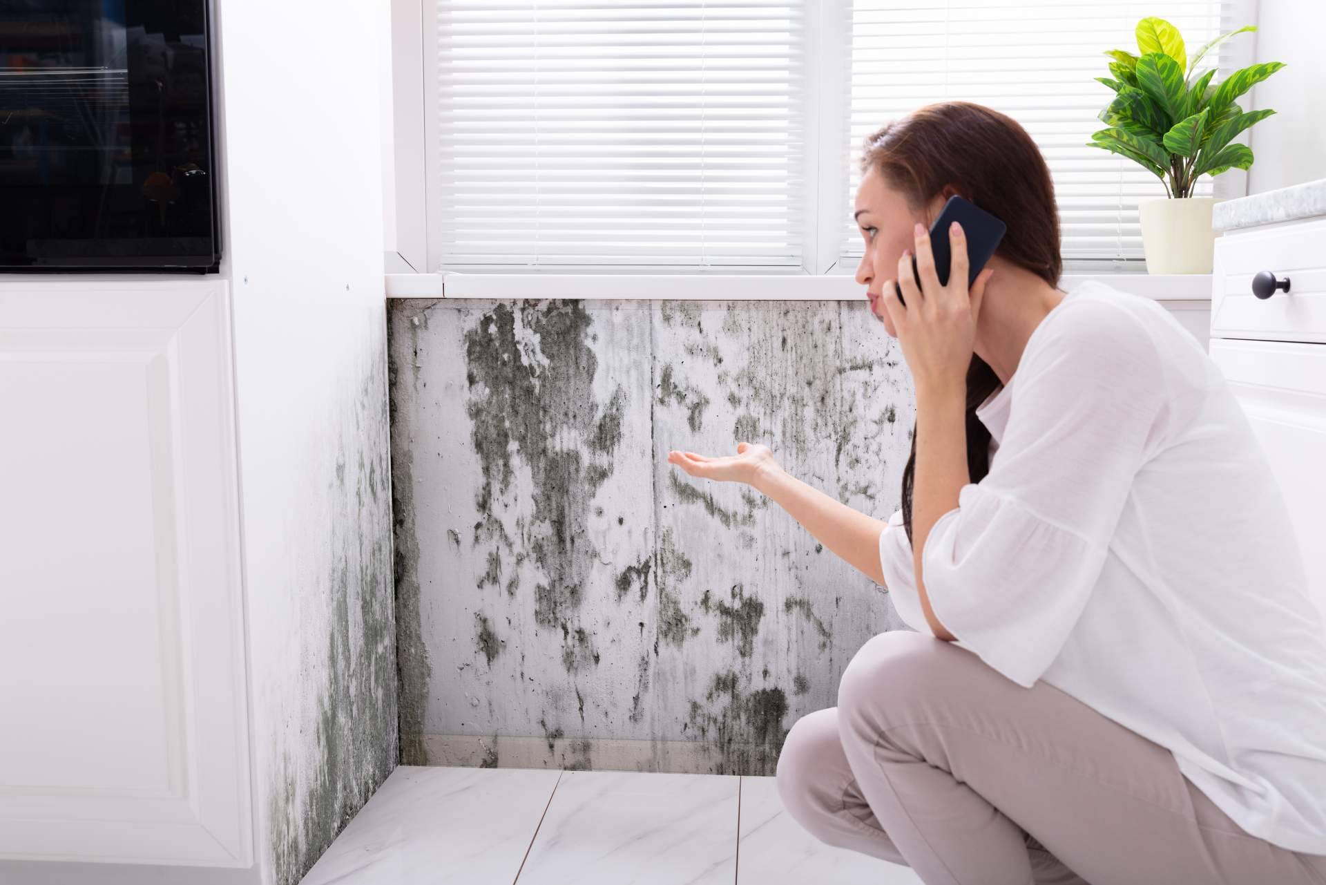¿Por qué es importante eliminar las humedades por capilaridad para prevenir problemas de salud?