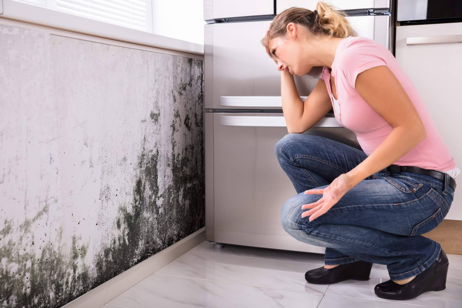 ¿Cómo eliminar definitivamente las humedades?, de la mano de Preactiva