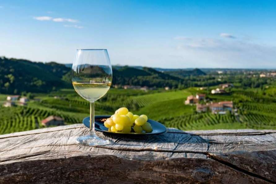 Unos de los mejores vinos ecológicos de la mano de Your Wine at Home