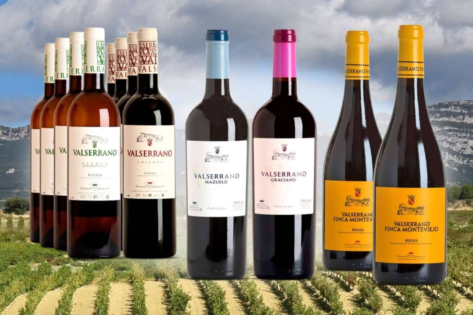 Para los paladares más exigentes, en ILOVEWINE ofrecen vinos selección Valserrano