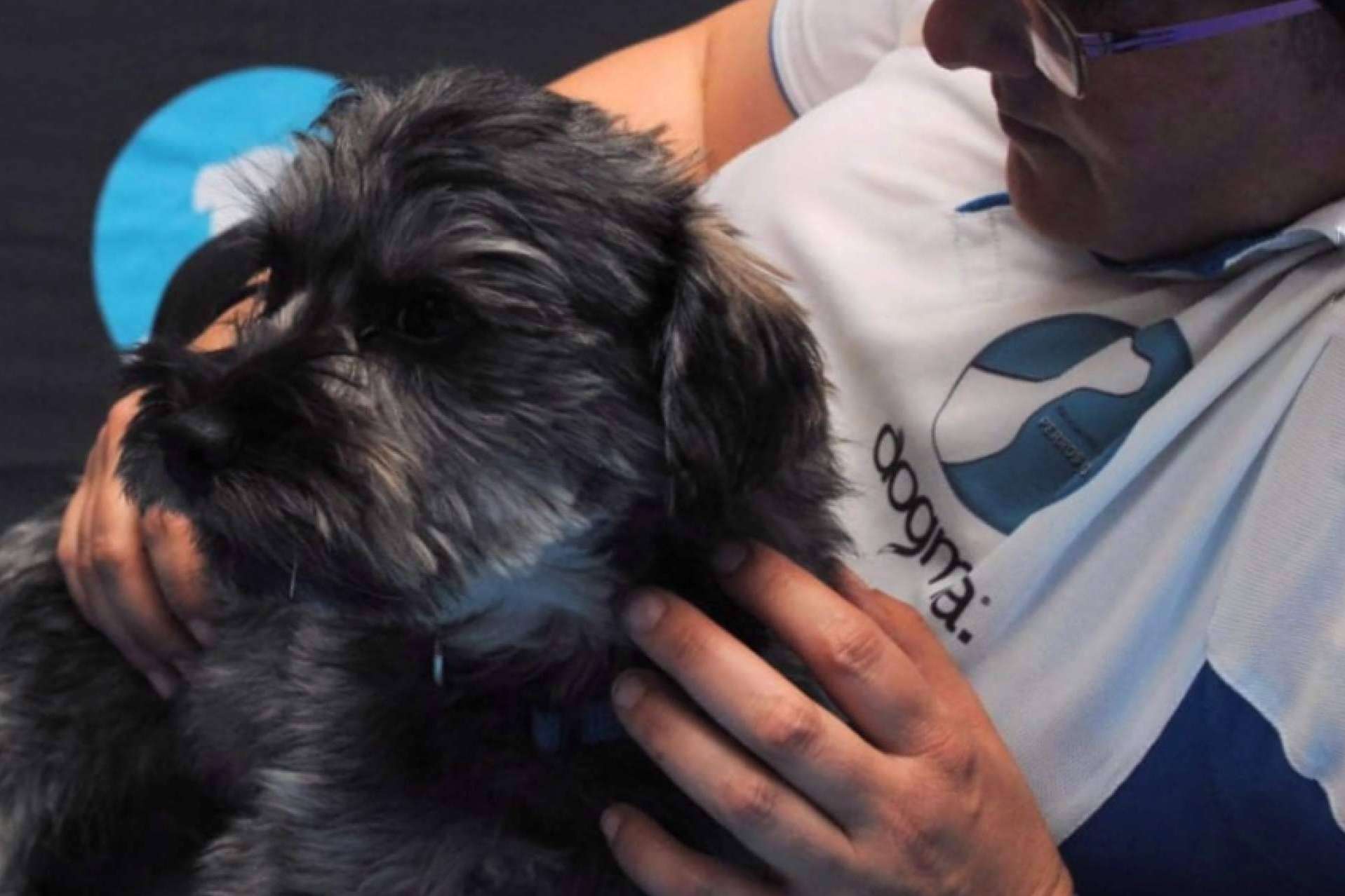 Perros de apoyo emocional, de la mano de AEPA