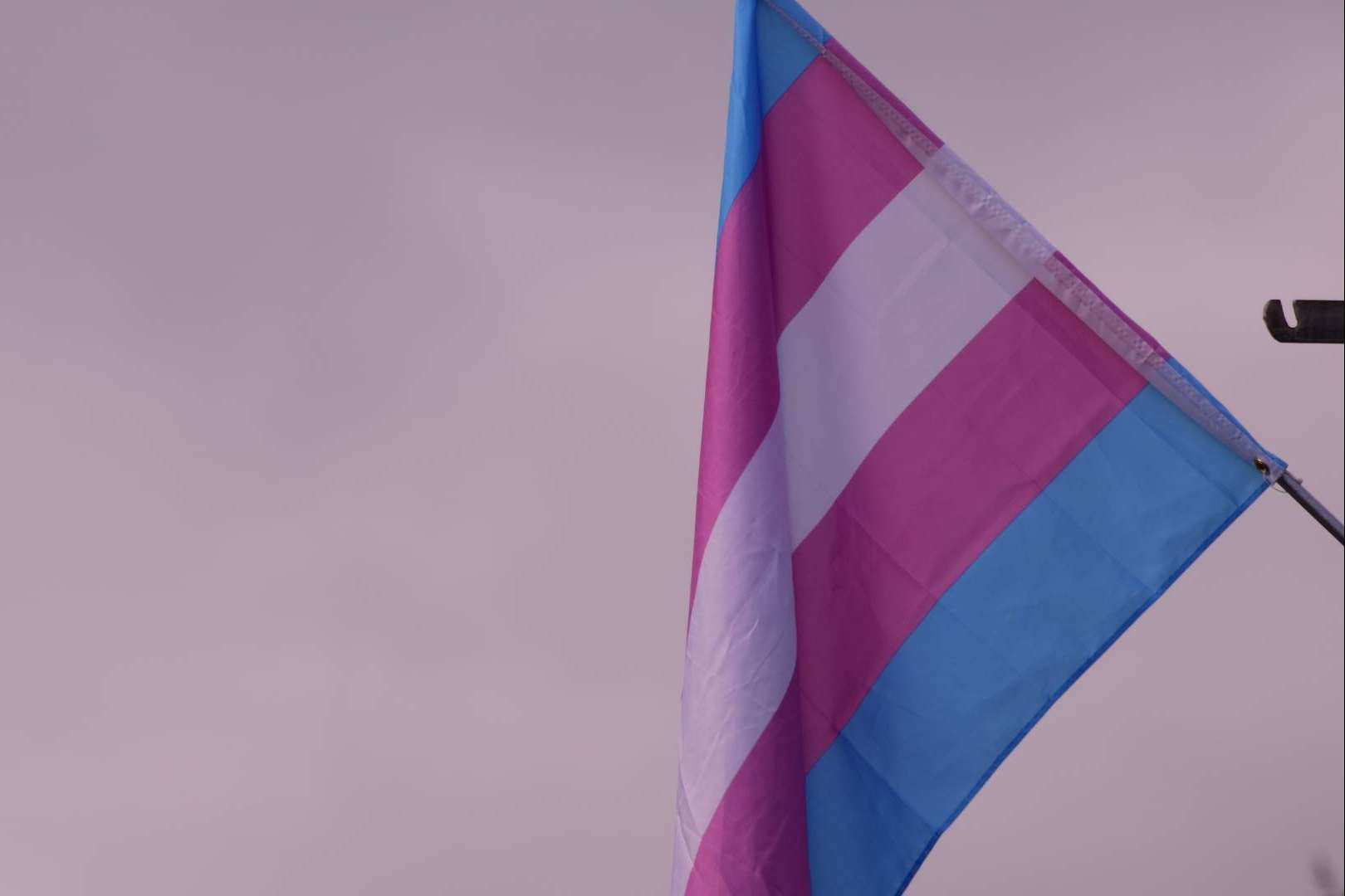 iMorosity apuesta por la diversidad sumándose como colaborador de la Asociación Home of Trans
