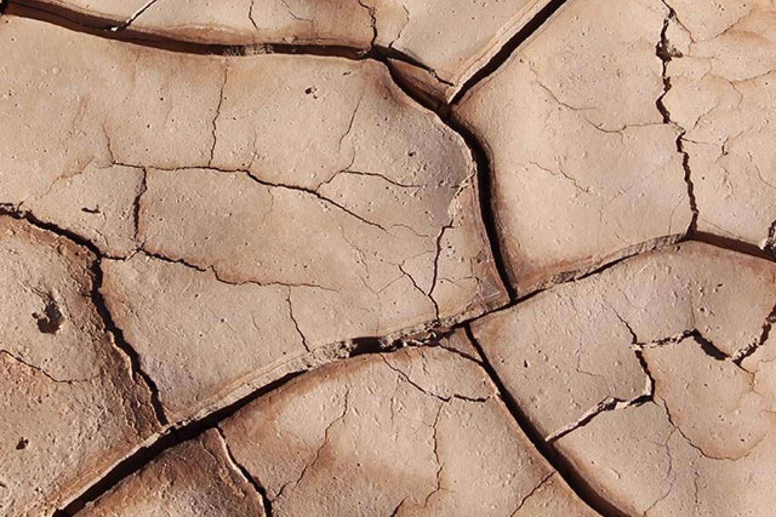 ¿Cuáles son los síntomas de falta de salivación?, por Dicadia