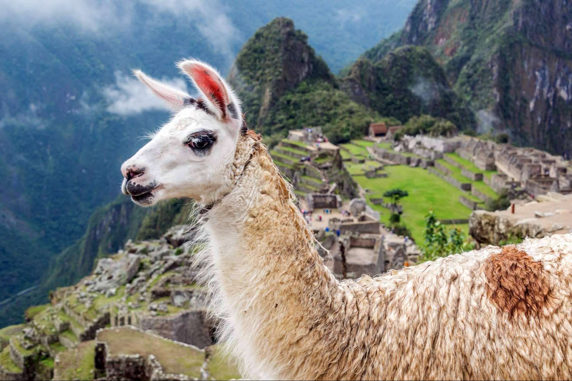 Las novedades que presenta la revista digital de Perú, RevistaTourGourmet.com
