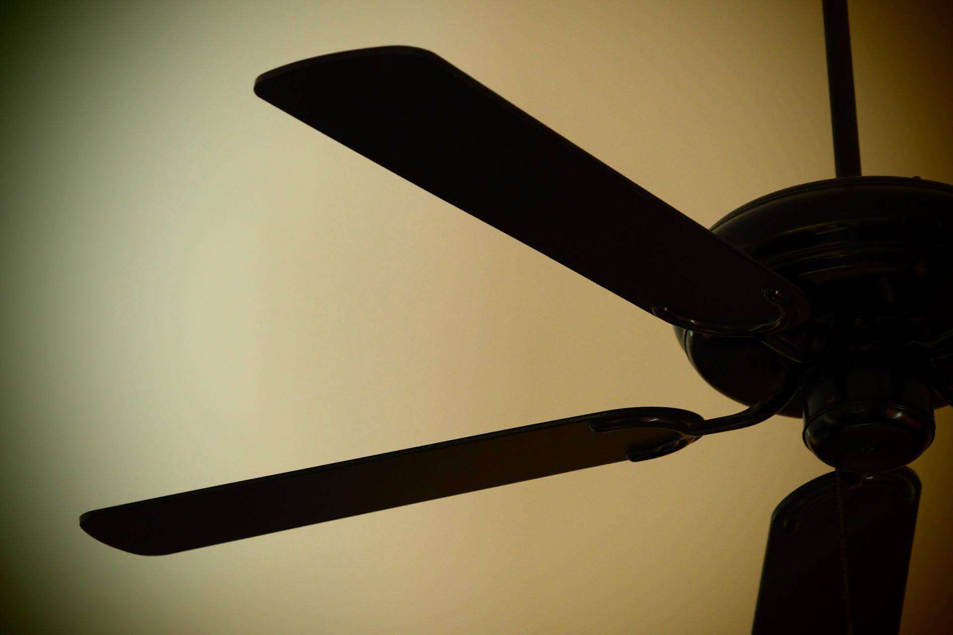 Buychester sobre los beneficios de los ventiladores para el hogar