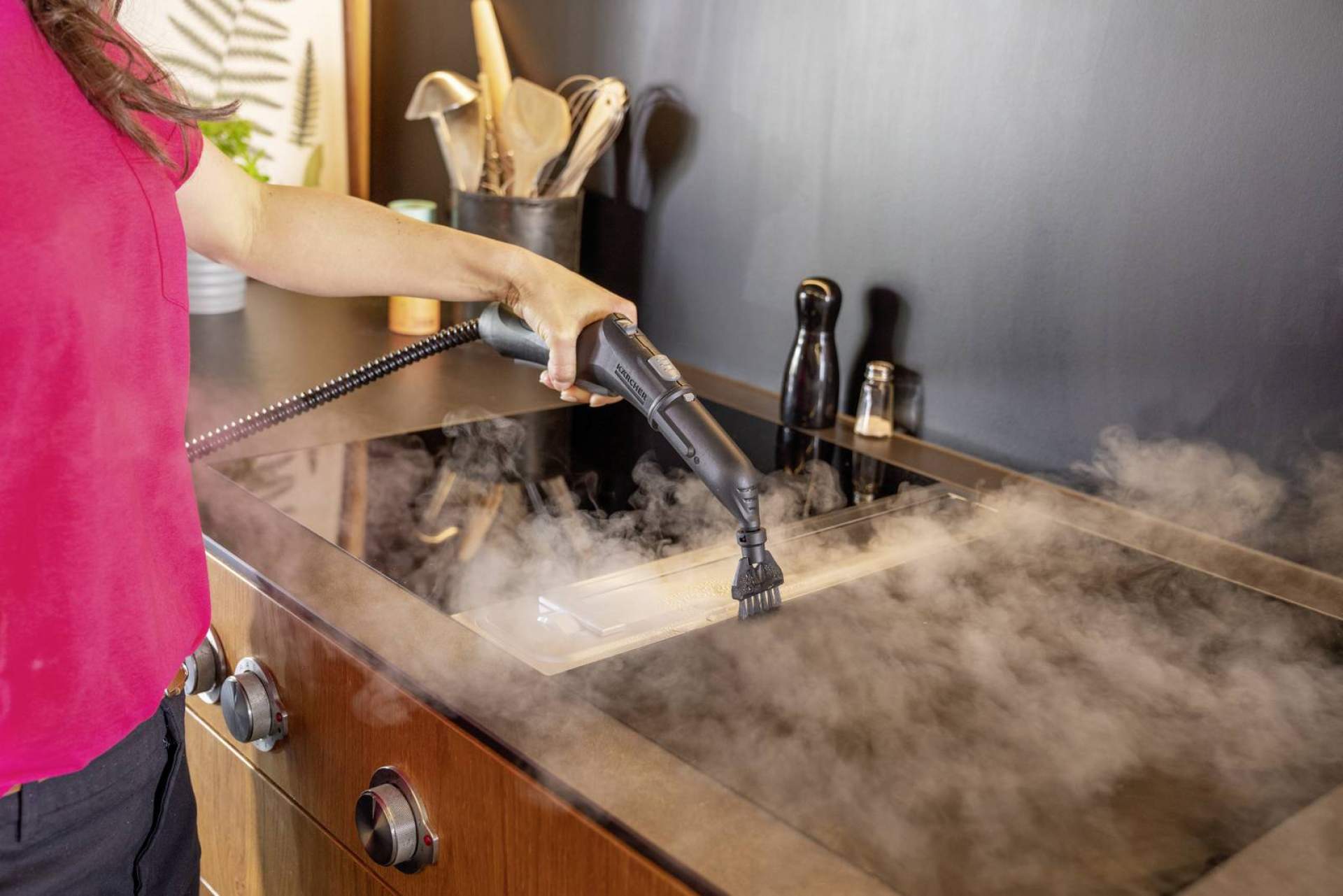 Limpieza con vapor; cuando la higiene es una prioridad