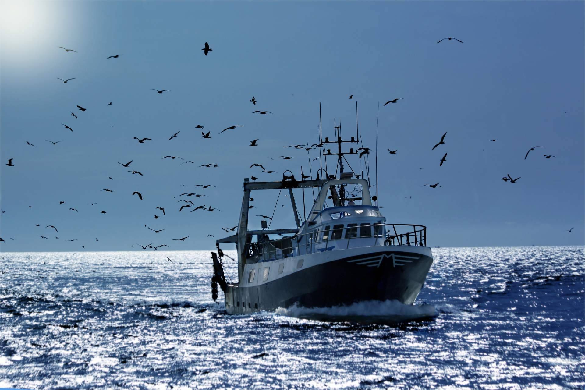 Nova Argonautica, la tienda de accesorios para barcos, presenta el catálogo de herrajes
