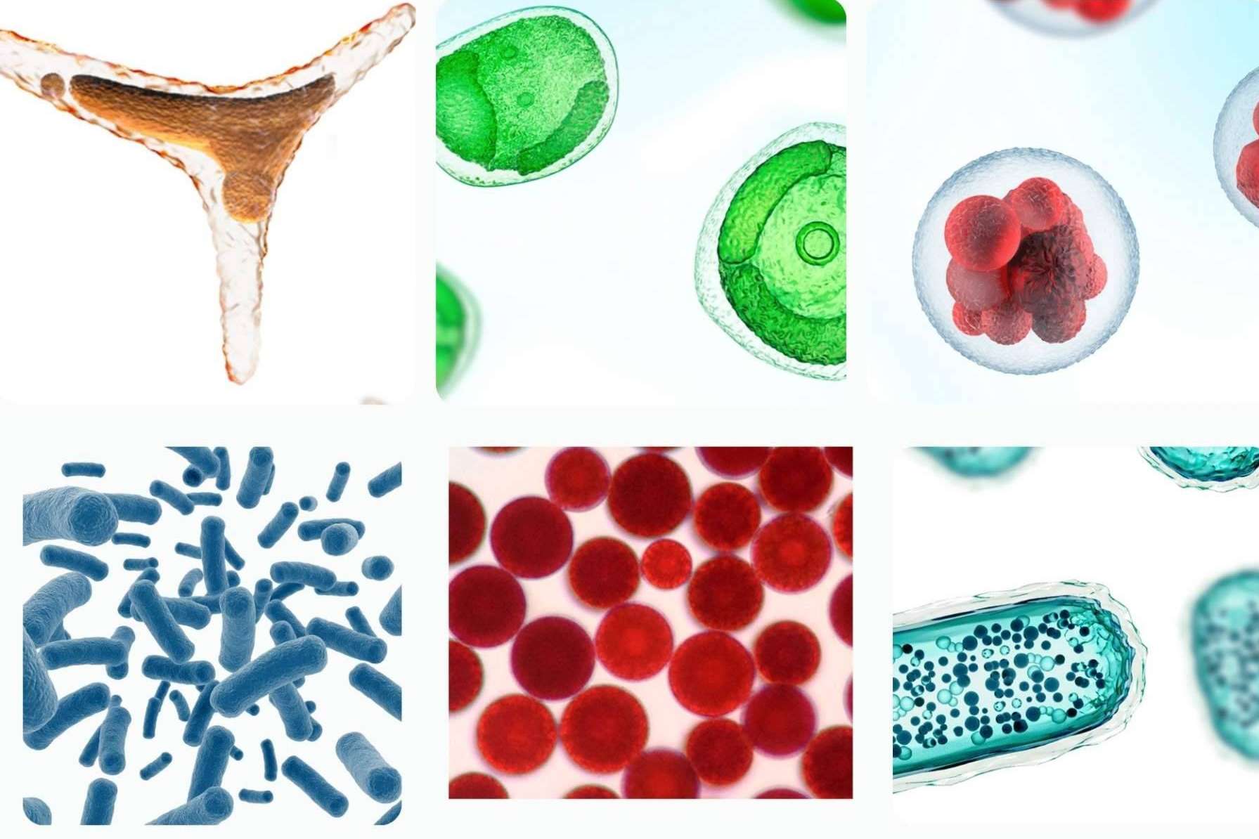 BIOTICALCARE ofrece cosmética de alta gama, libre de tóxicos y asequible para todos los bolsillos