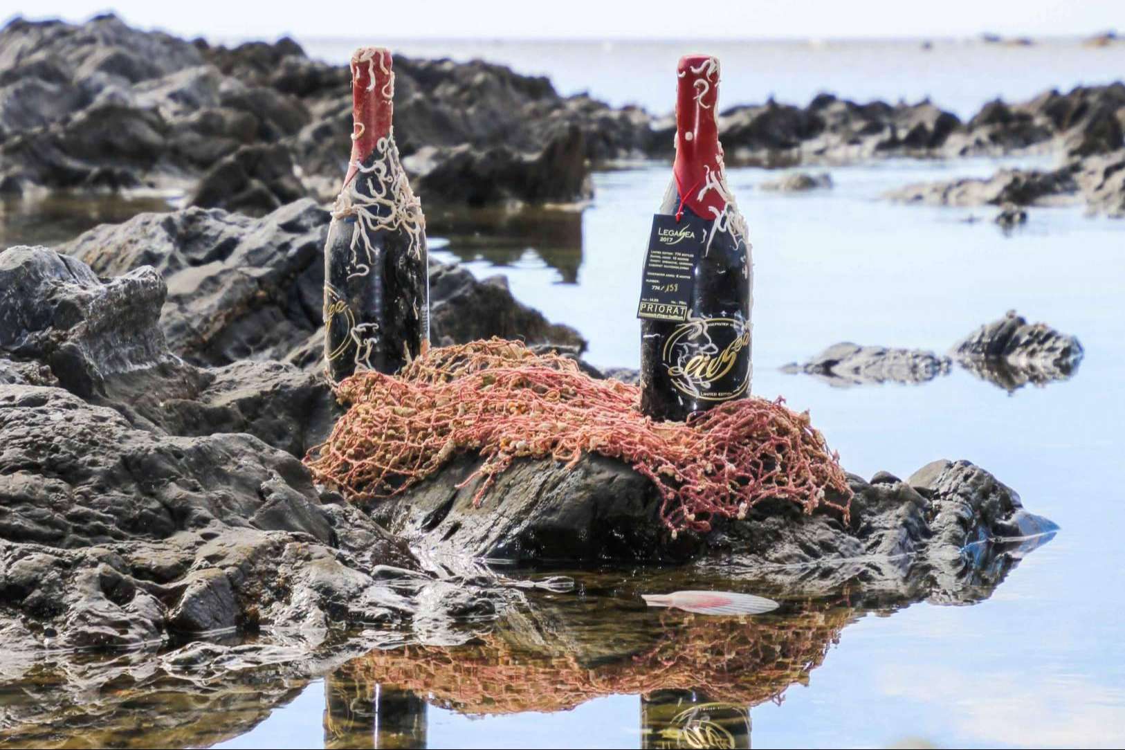 ElixSea, el poder de la enología marina para crear vinos únicos