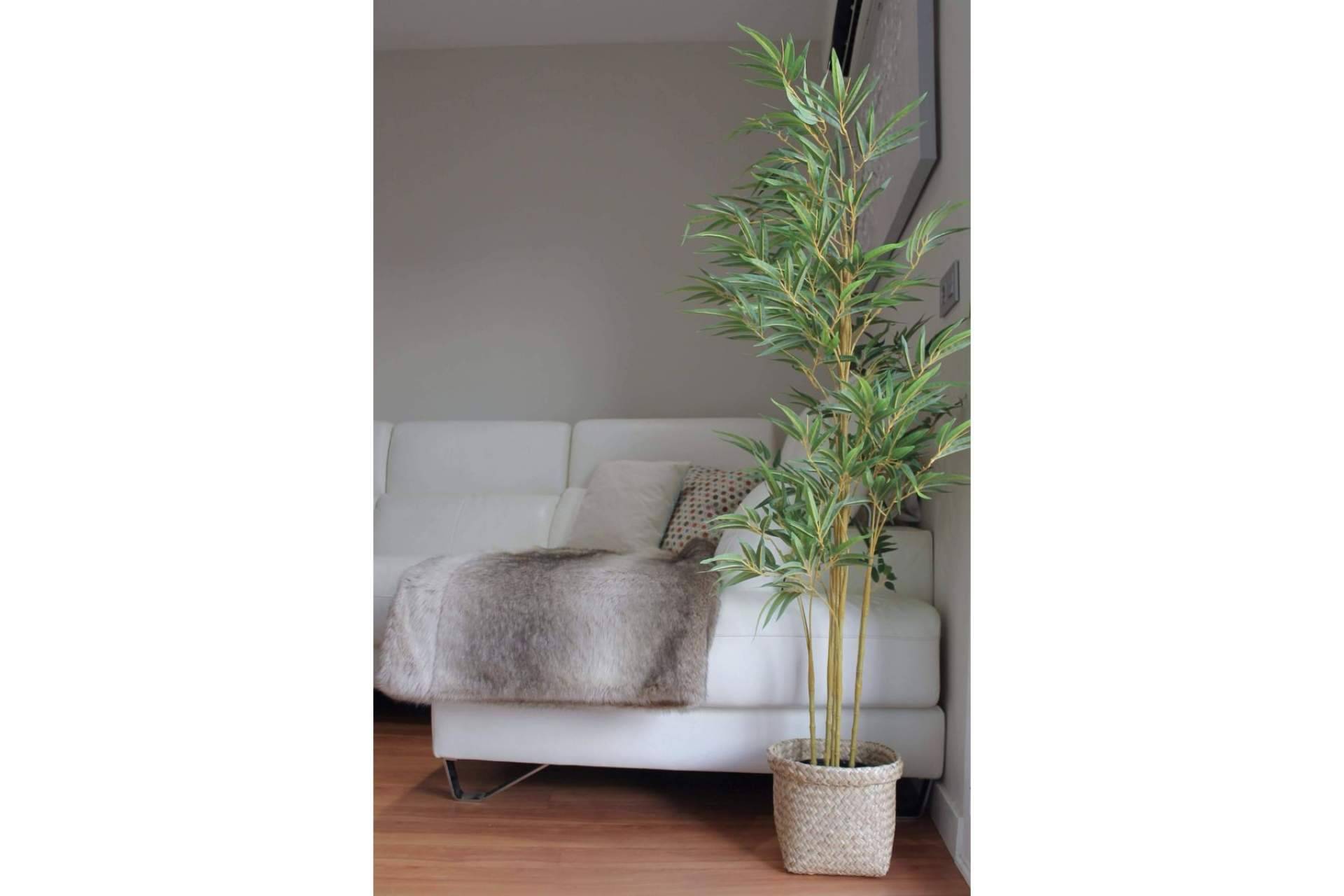 Las plantas decorativas artificiales de Zamyo, innovación en la decoración