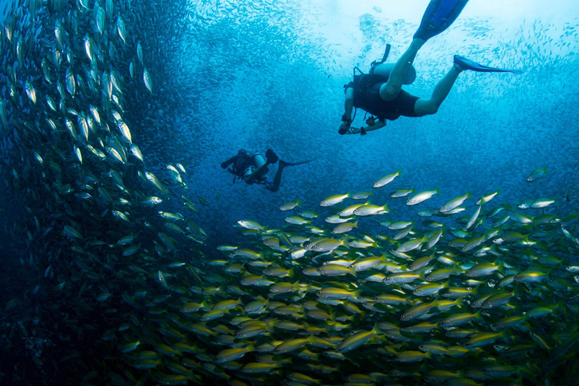 La escuela de buceo en Tailandia, Nitro Koh Tao