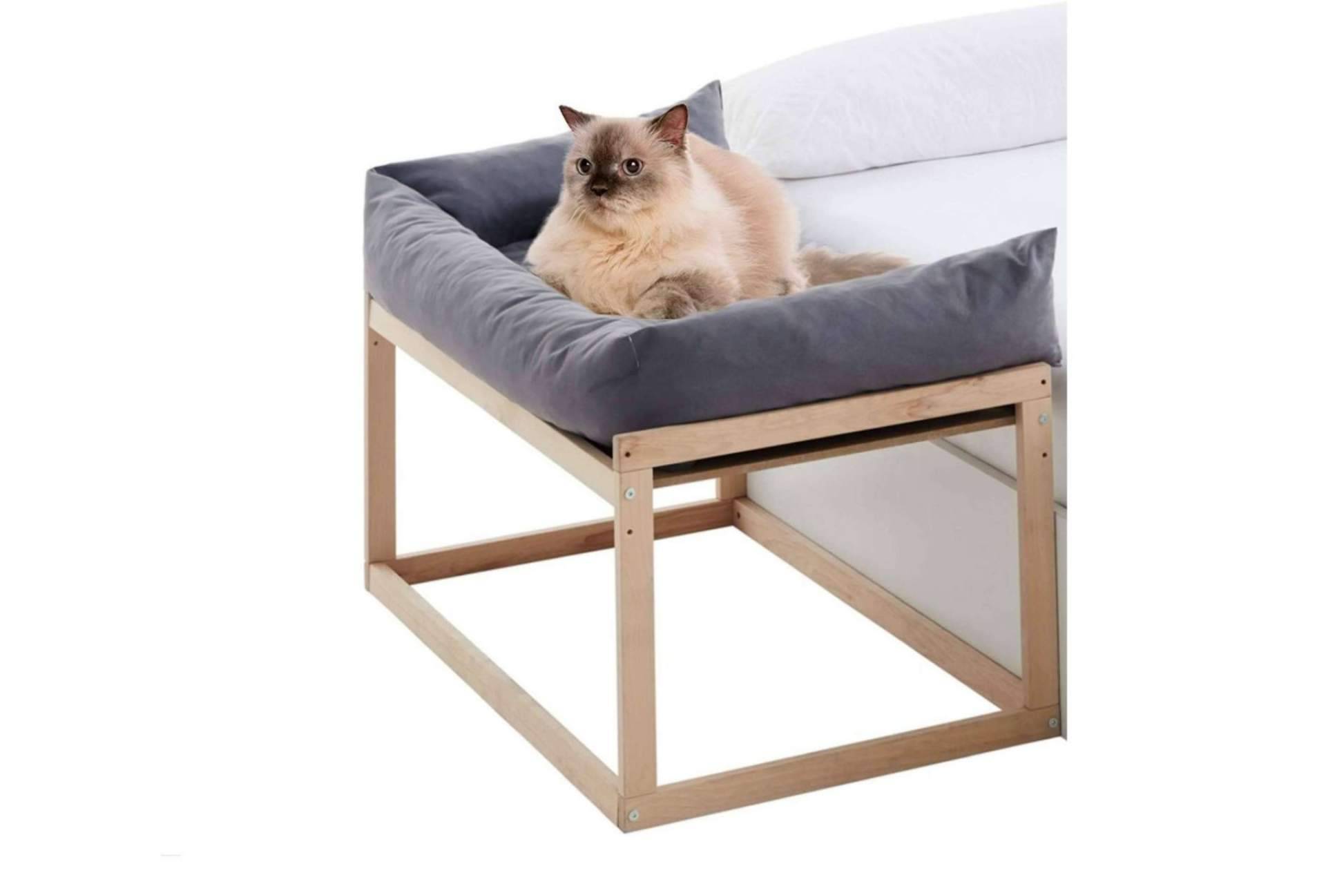 Cool-Dreams ofrece camas colecho para gatos