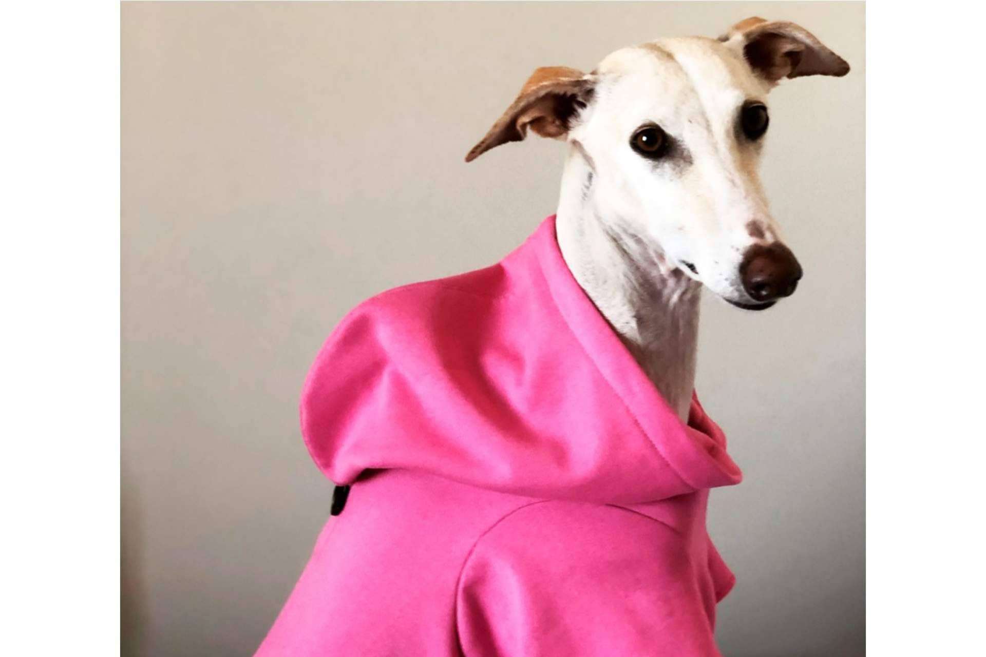 Ropa para mascotas de la mano de Lucas & Lola