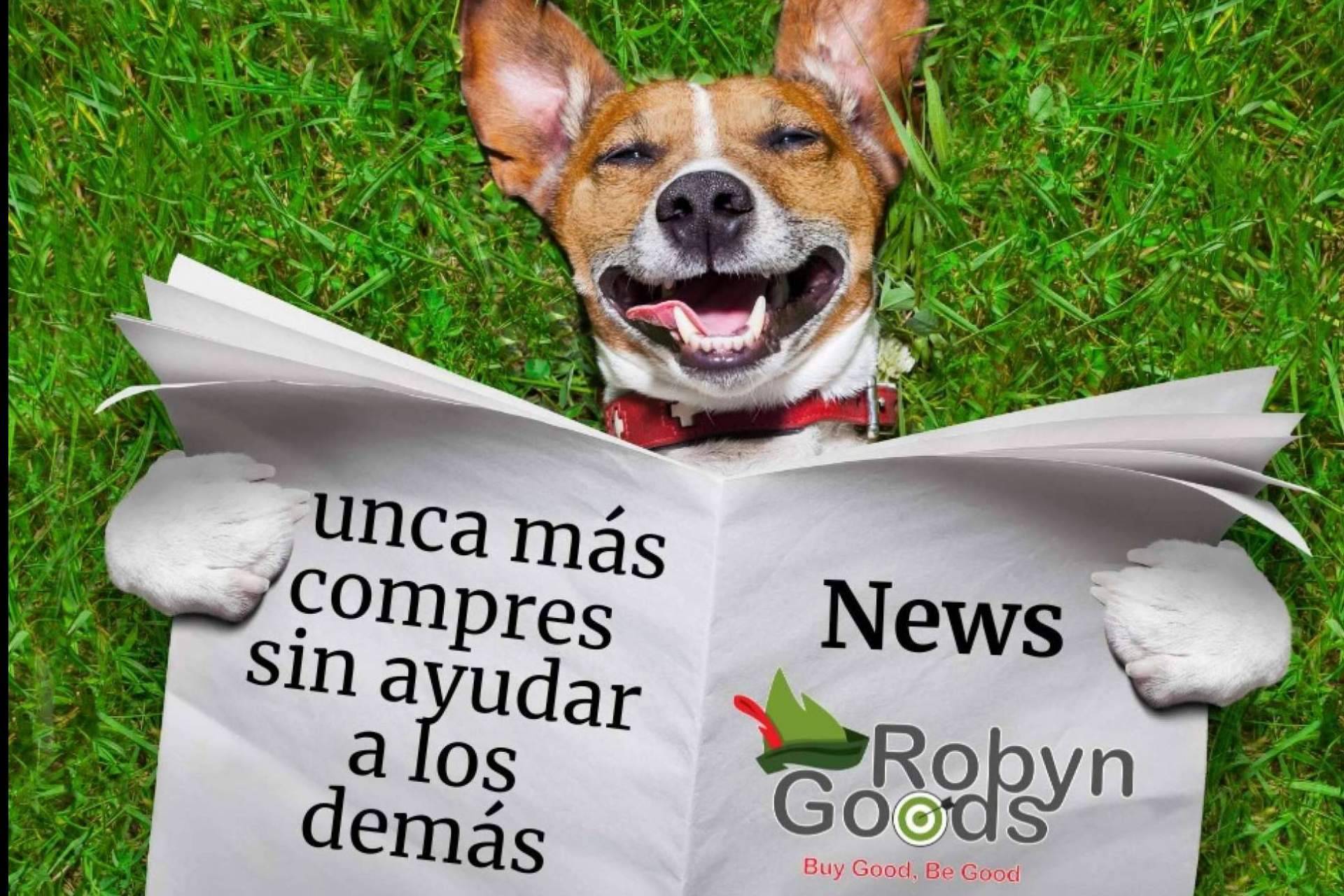 El marketplace que promueve la solidaridad en cada compra, RobynGoods