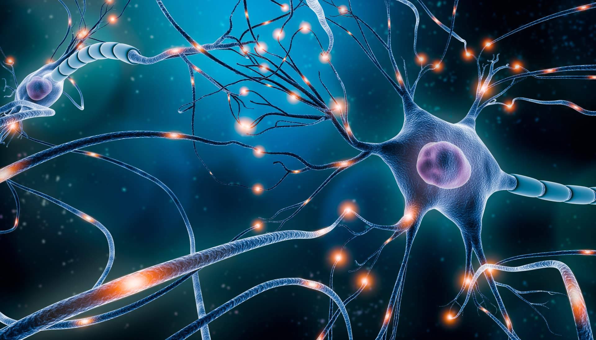 ILVEM y sus técnicas de Neurociencia aplicadas al aprendizaje