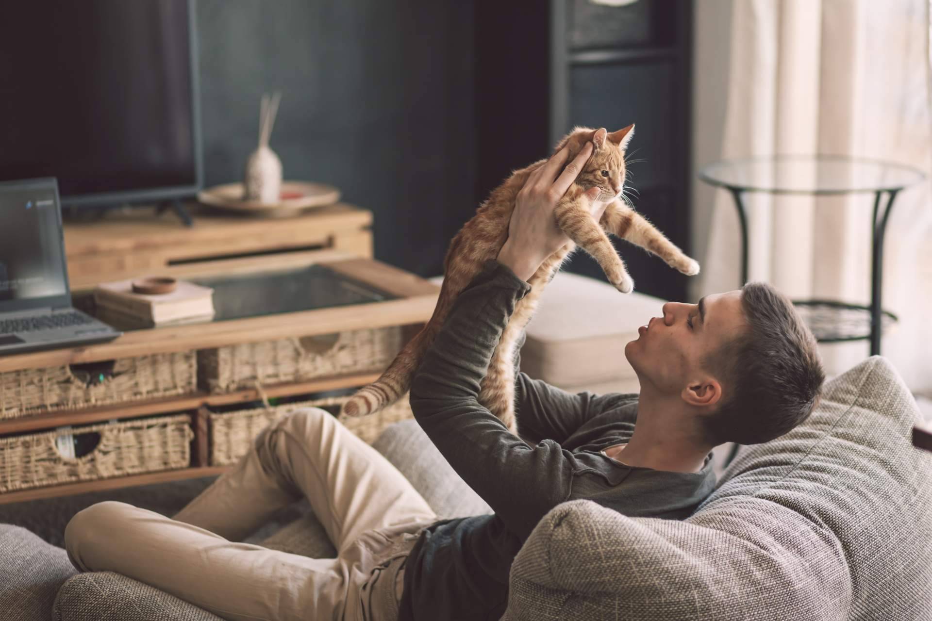 El estrés posvacacional también puede afectar a perros y gatos