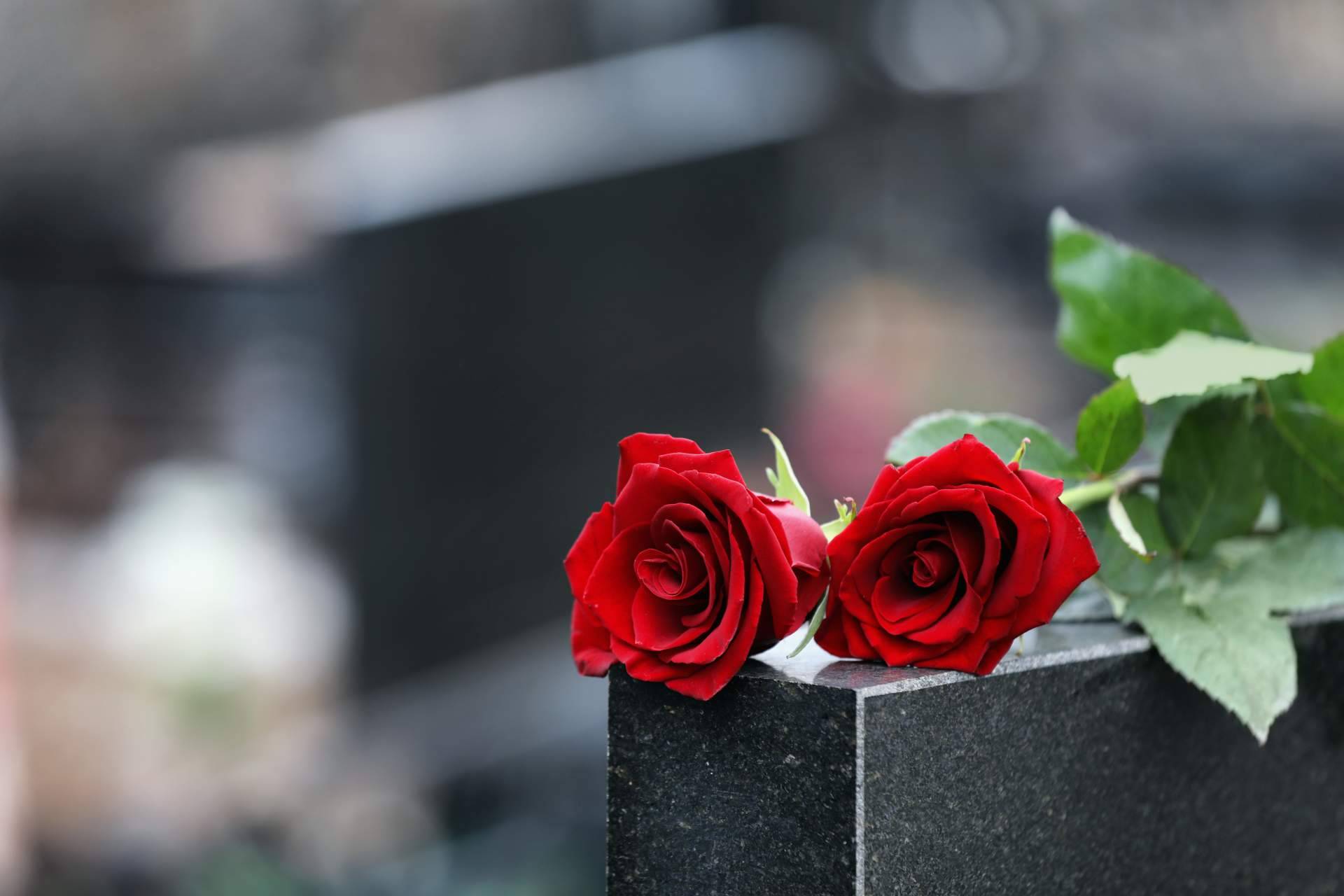 ¿Cuál debe ser el protocolo funerario para mostrar respeto a la familia?