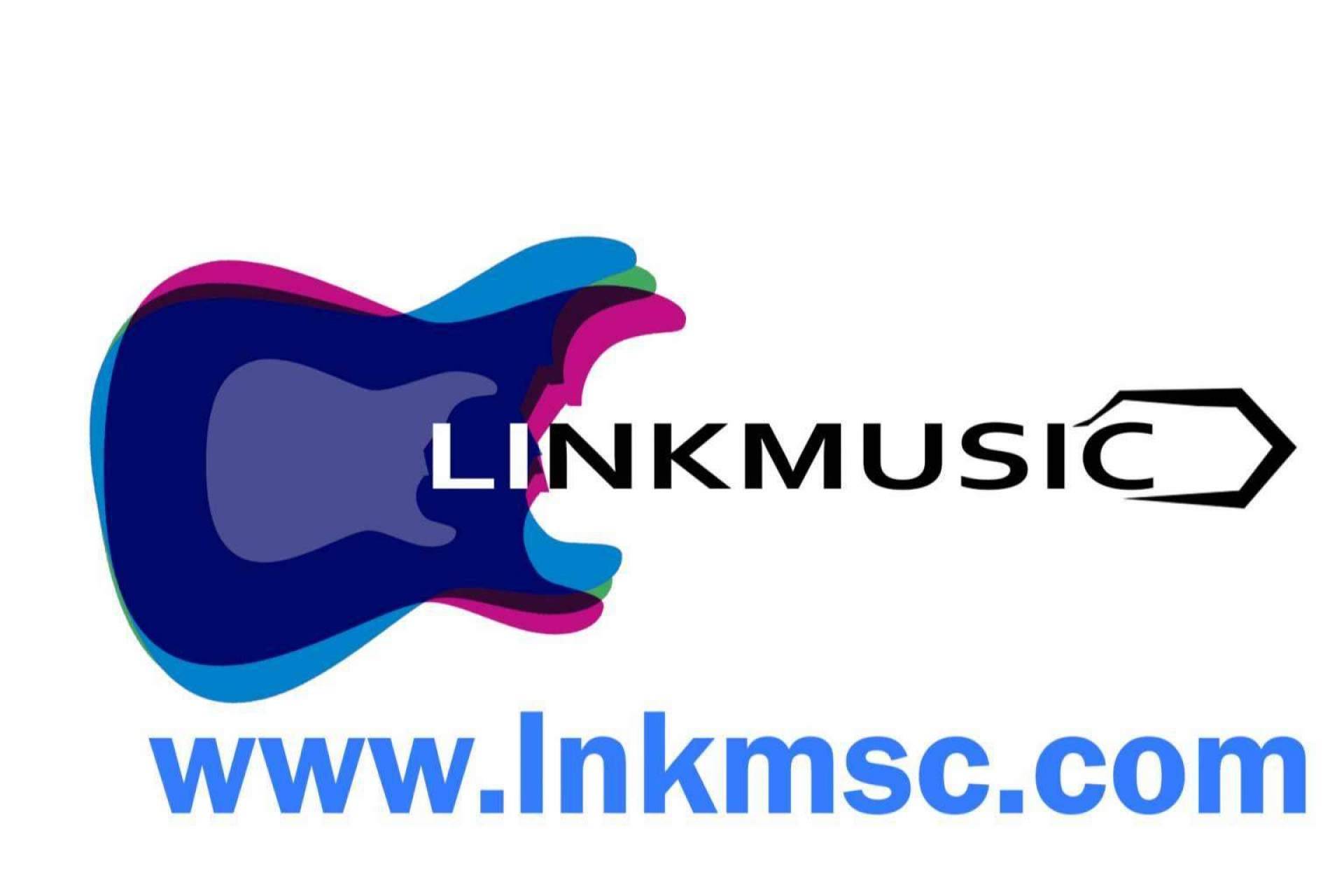 Encontrar la sala donde ver a los músicos preferidos gracias a LinkMusic