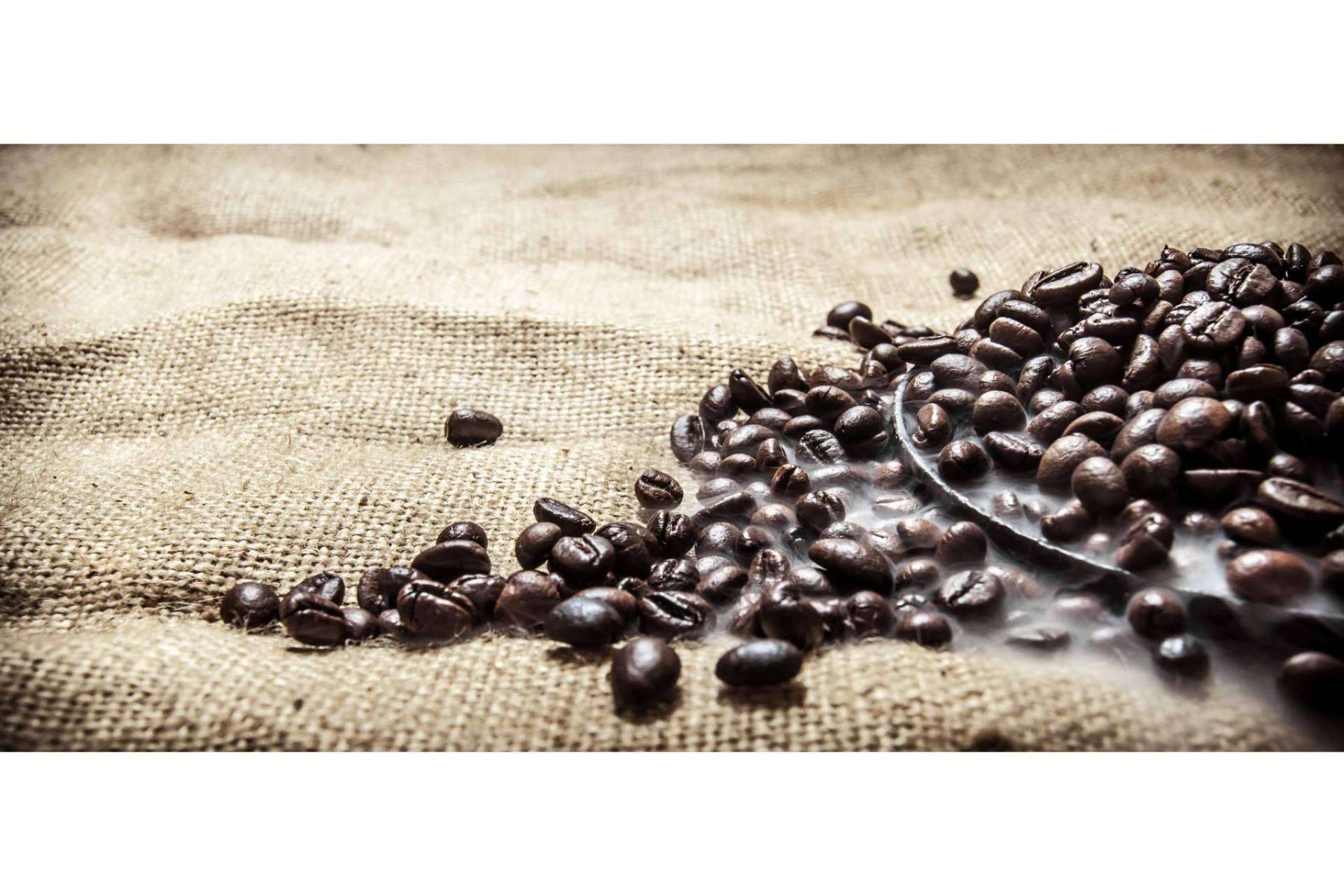 Xtrong, el nuevo café ecológico de alta intensidad de Orisens