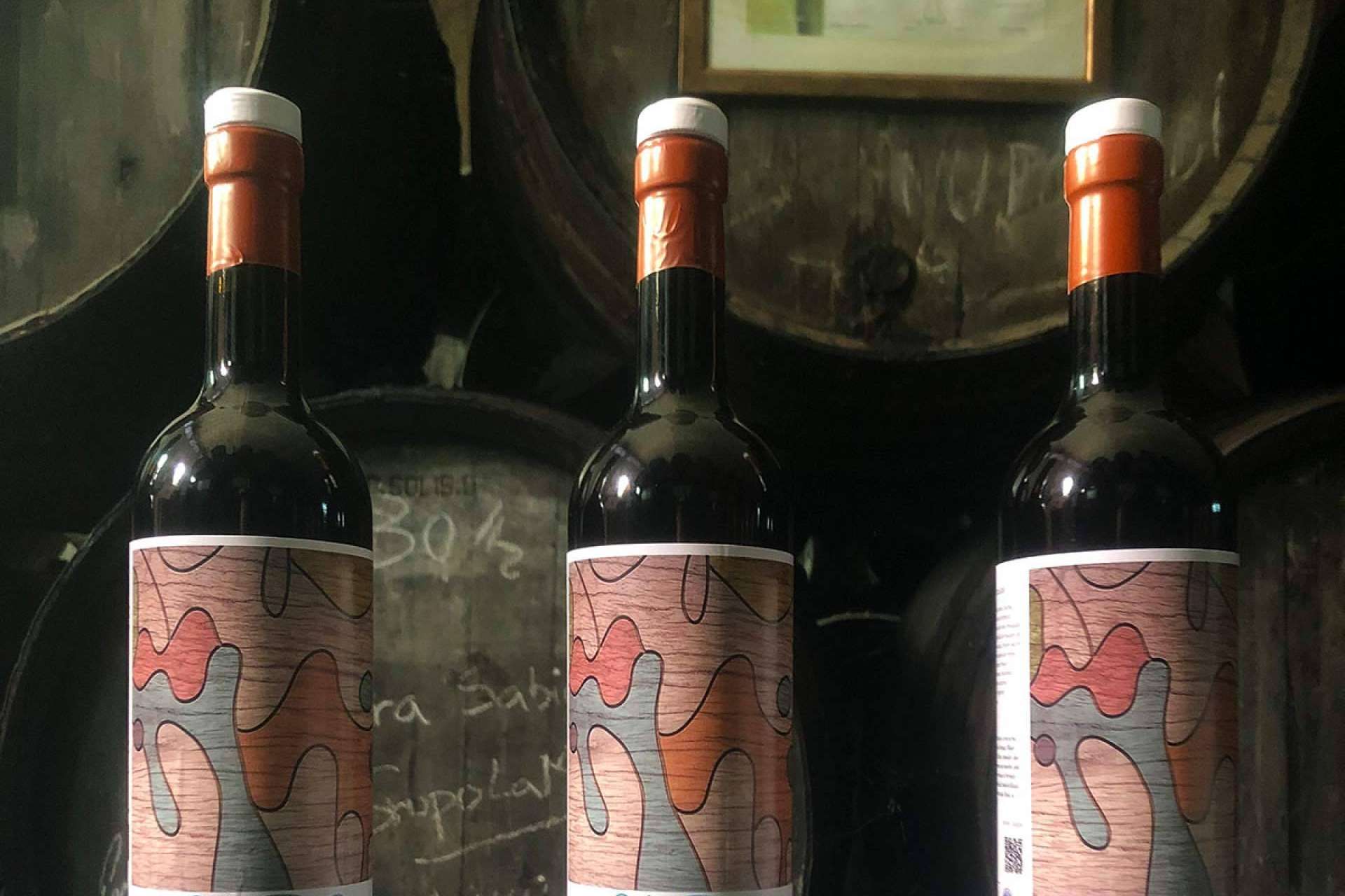 Bodegas Robles, todo un referente en la producción de vino ecológico en España