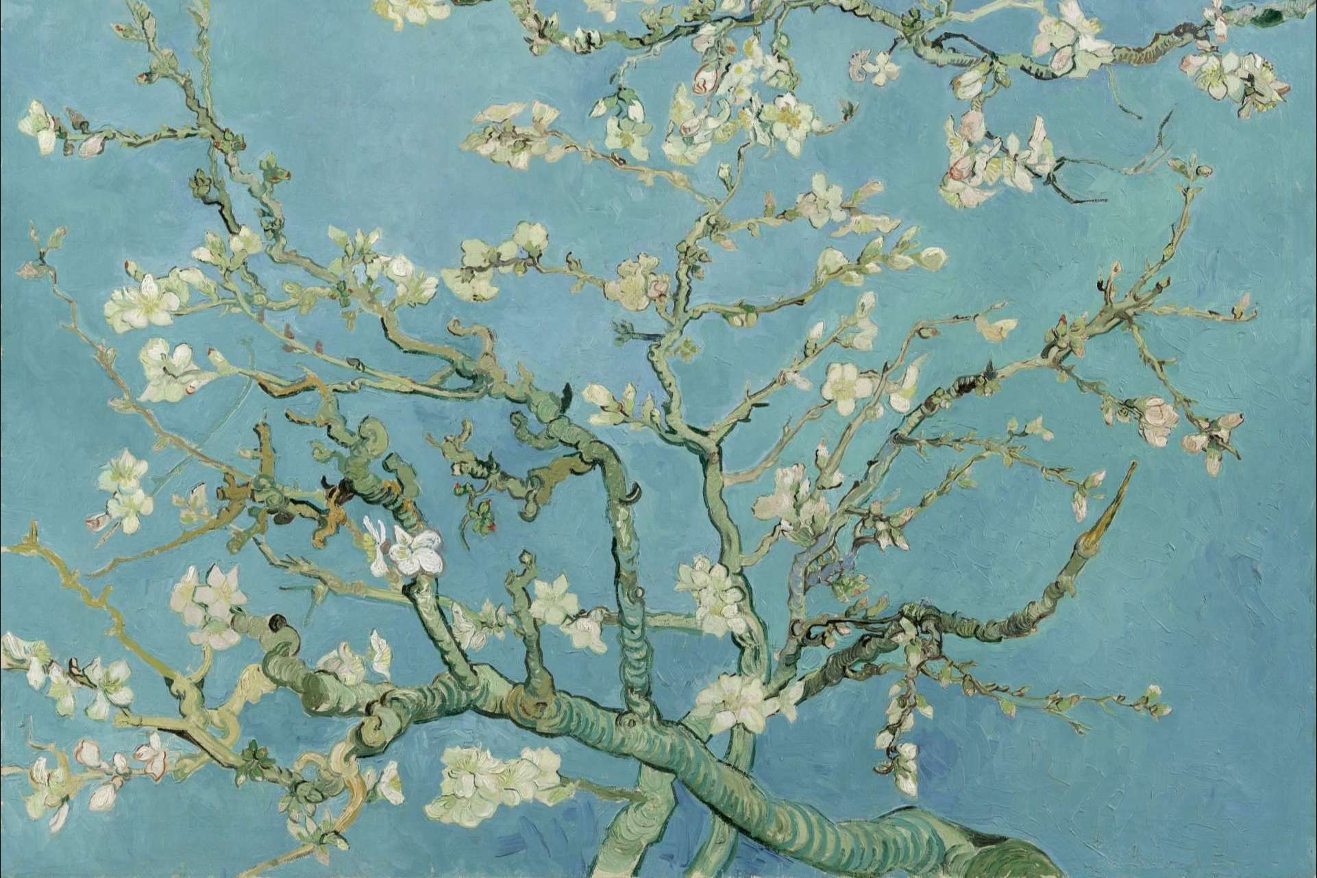 Canvas by Numbers, pintar por números La Noche Estrellada de Vincent Van Gogh