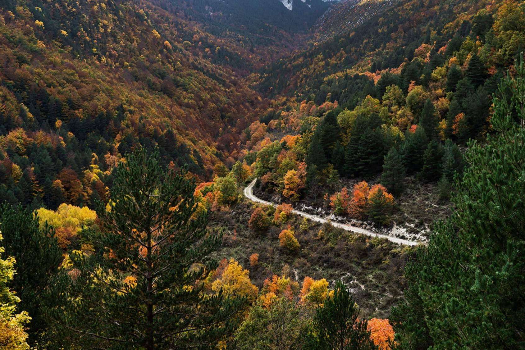 Otoño en el Camping Repòs del Pedraforca