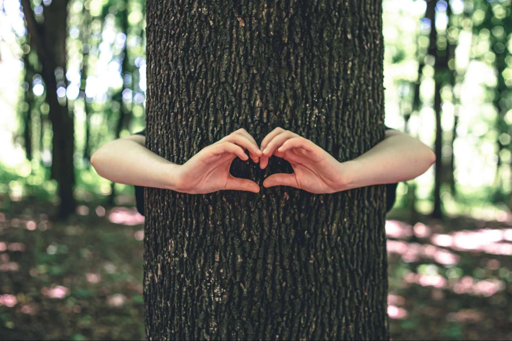 Conseguir los Objetivos de Desarrollo Sostenible ODS a través del marketing emocional de Marcas que Enamoran
