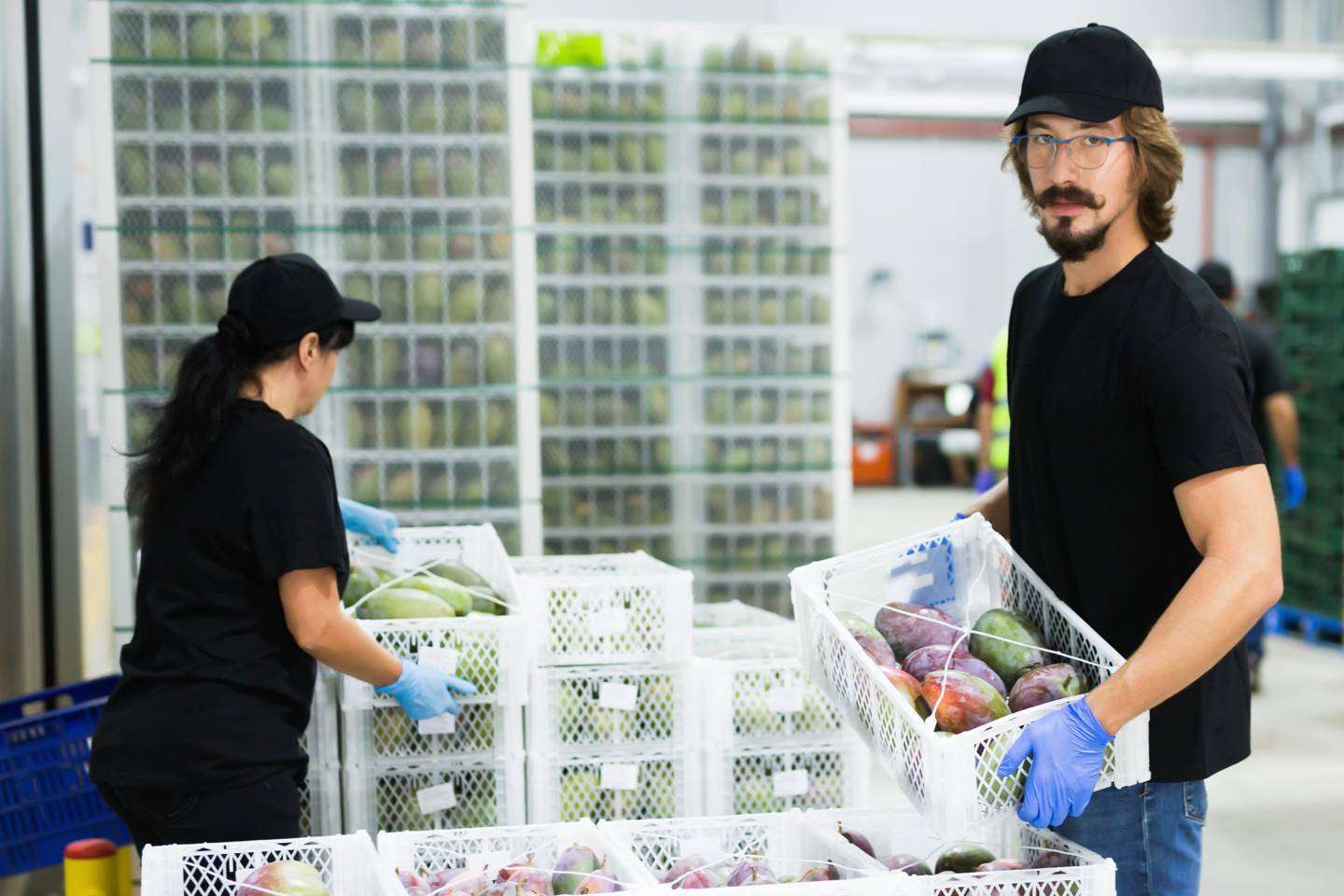 Piola ayuda a los distribuidores y proveedores del canal HORECA a digitalizar sus procesos a través del Kit Digital