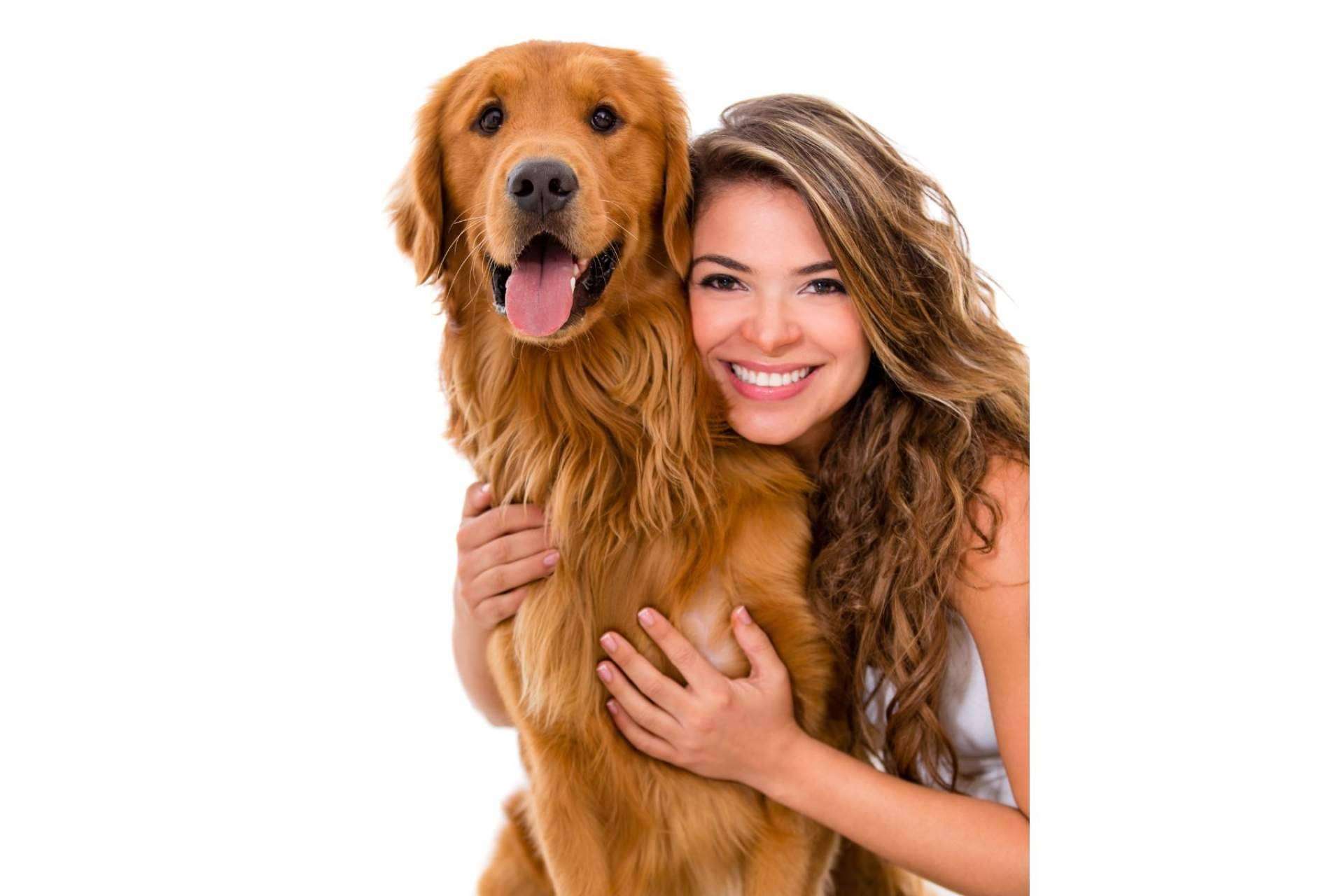 Cómo escoger un buen momento para adoptar un perro