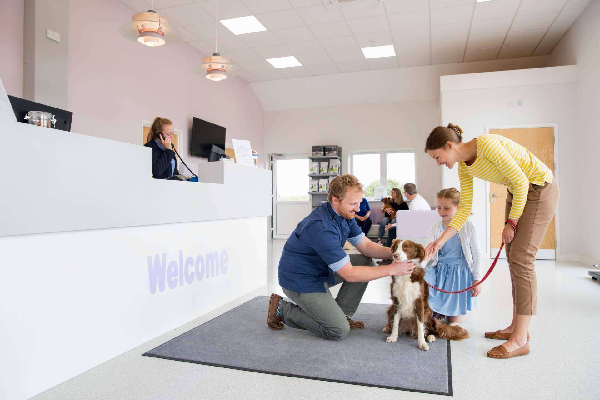Los seguros de mascotas para perros y gatos de Barkibu