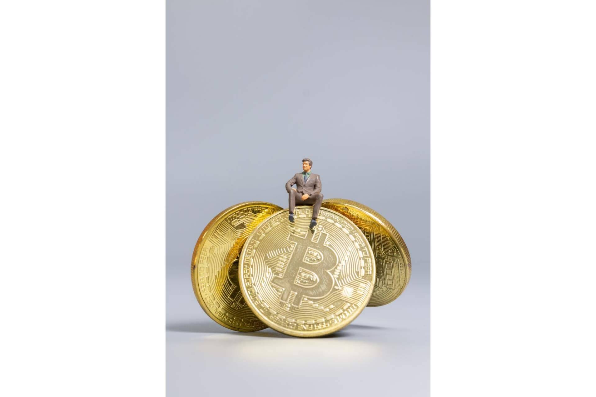 Desde una biocriptogranja hasta la energía solar, el uso de energías renovables para la minería de criptomonedas está aumentando