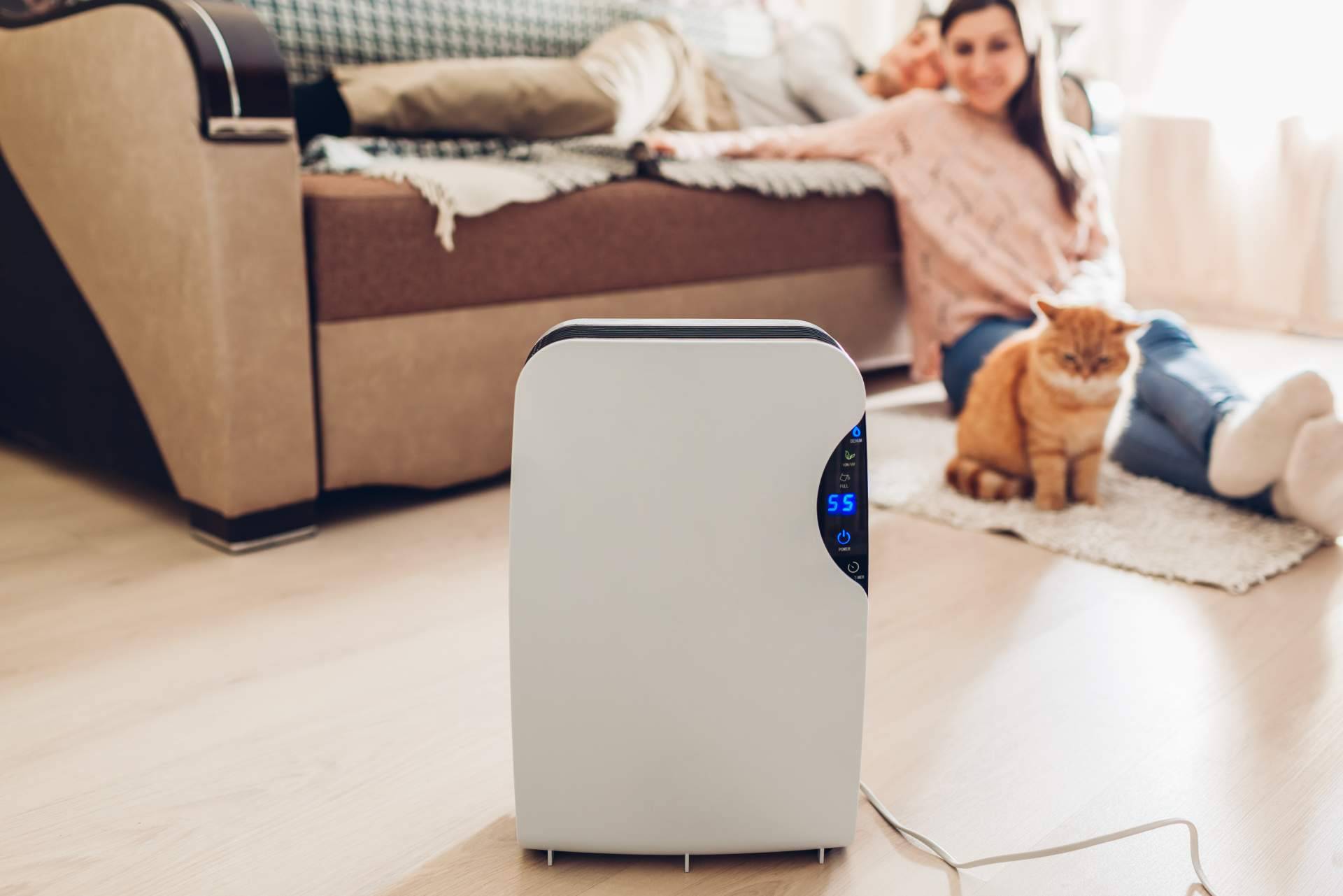 Hogar Climatizado es un portal de referencia en climatización para el hogar, que analiza y compara los mejores deshumidificadores del mercado
