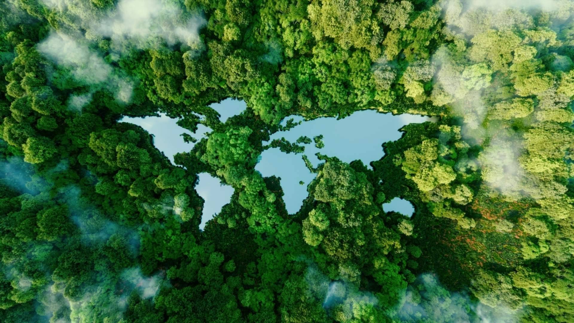 Qué son y cómo trabajar los criterios ESG de la mano de DoGood