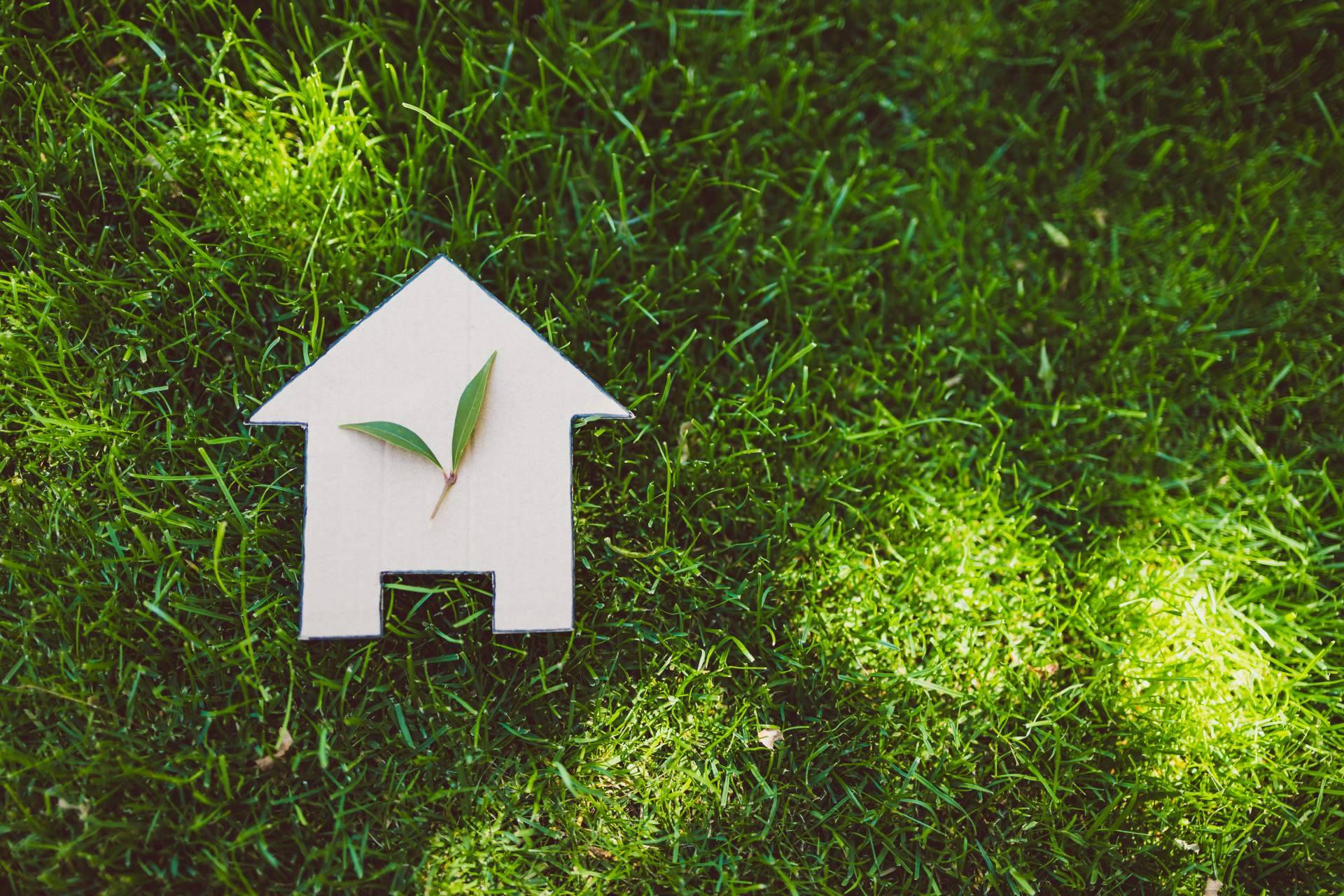 Sellfy Inmobiliaria habla sobre el valor de una vivienda eficiente