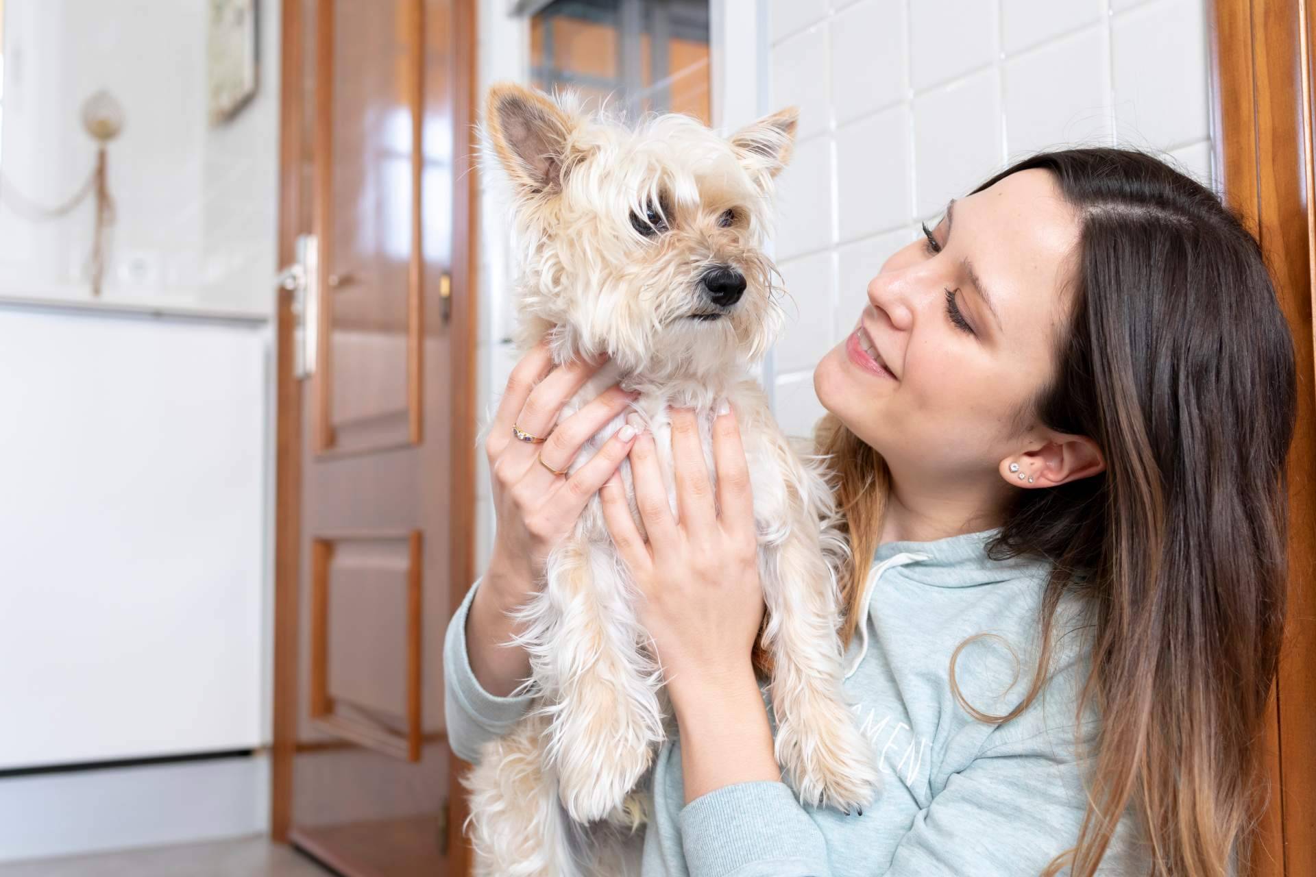El cuidado de las articulaciones en perros mayores, por Mooiza Flex