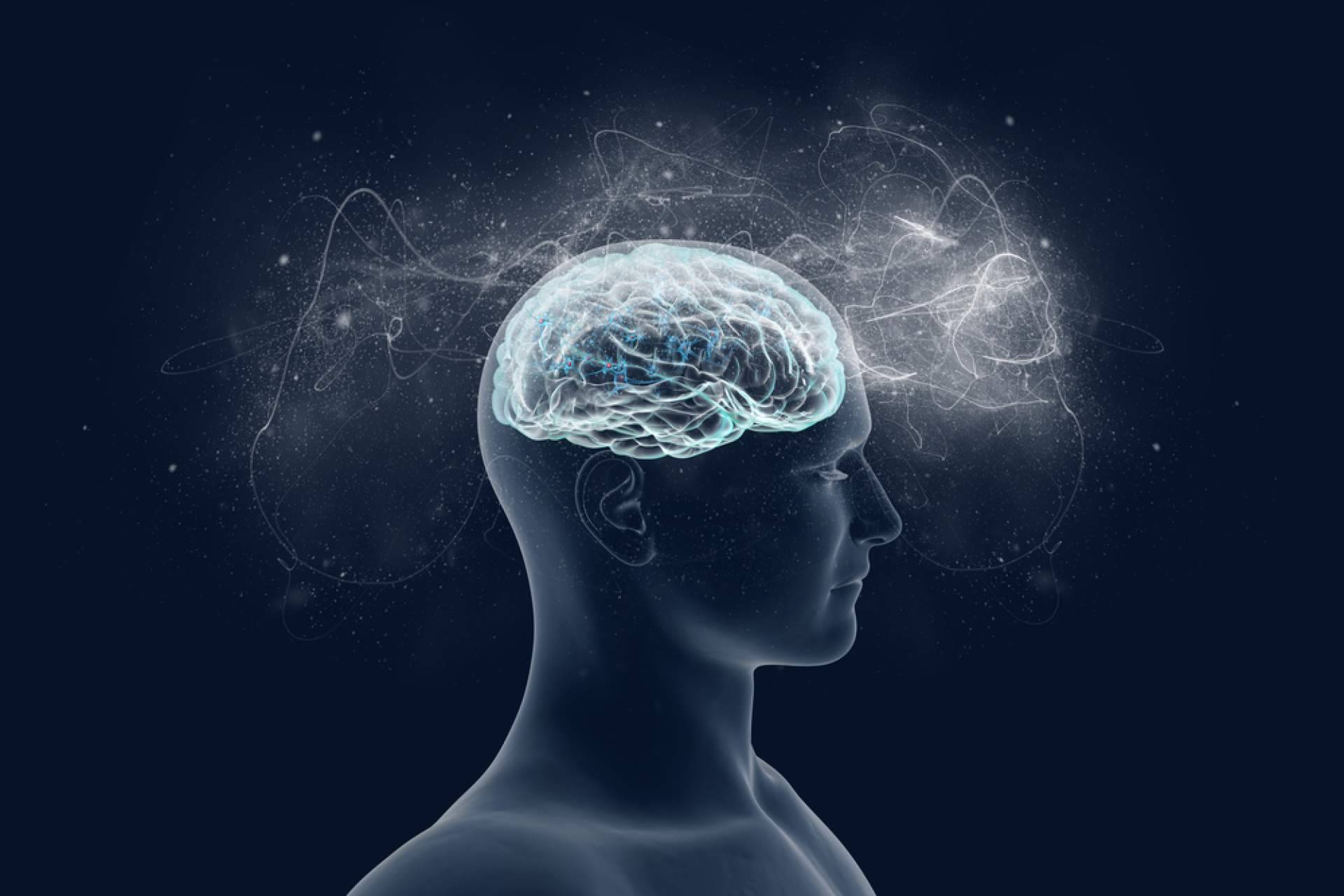 INIMA Rehabilitación enseña la importancia de la estimulación cognitiva