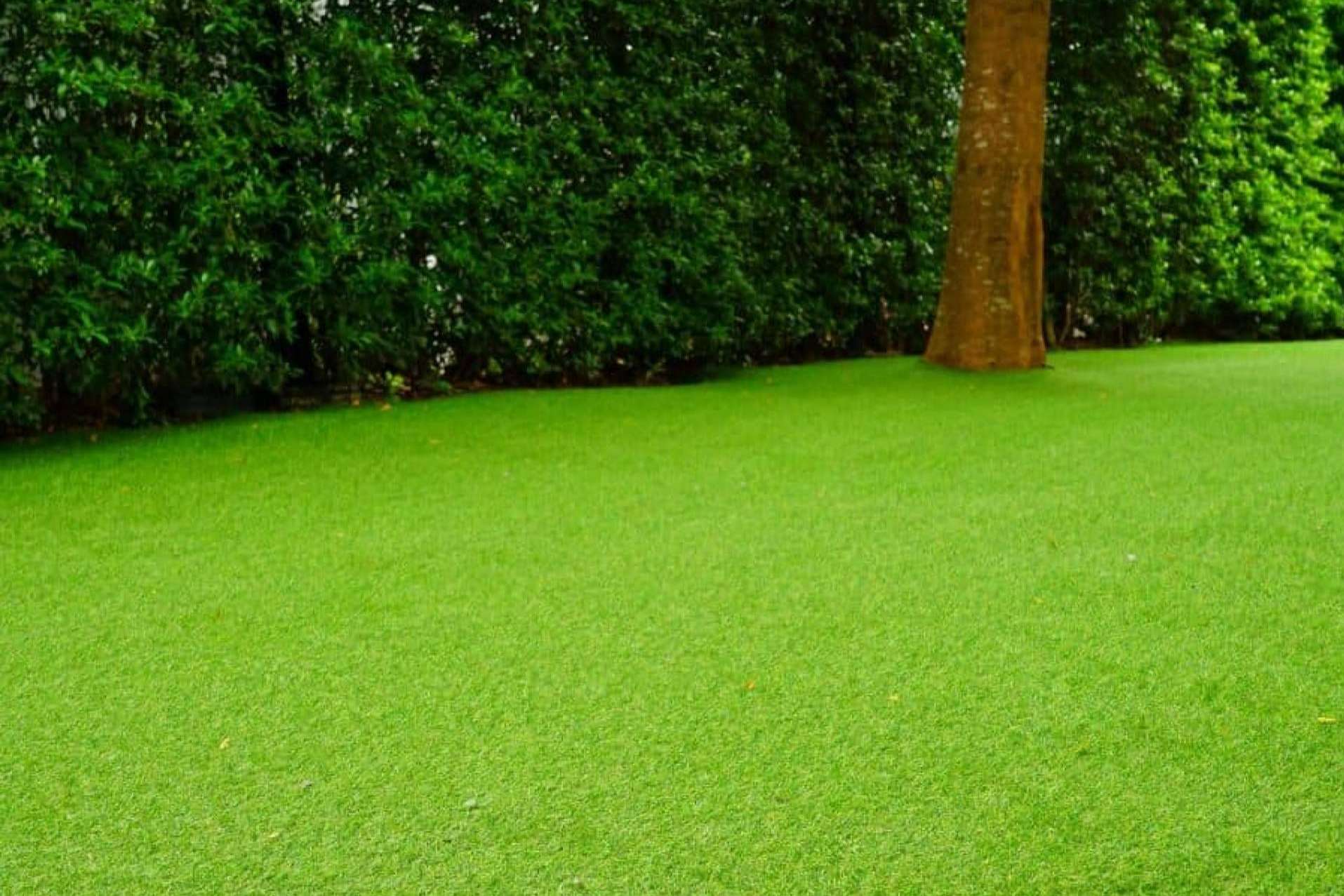5 trucos infalibles para instalar el césped artificial, por Albergrass
