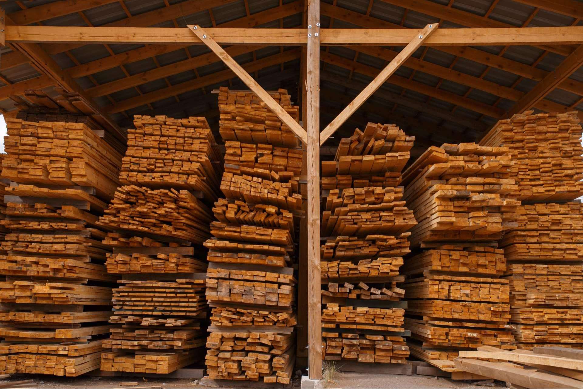 Maderas Gámez aclara por qué la madera se ha establecido como un material ecofriendly