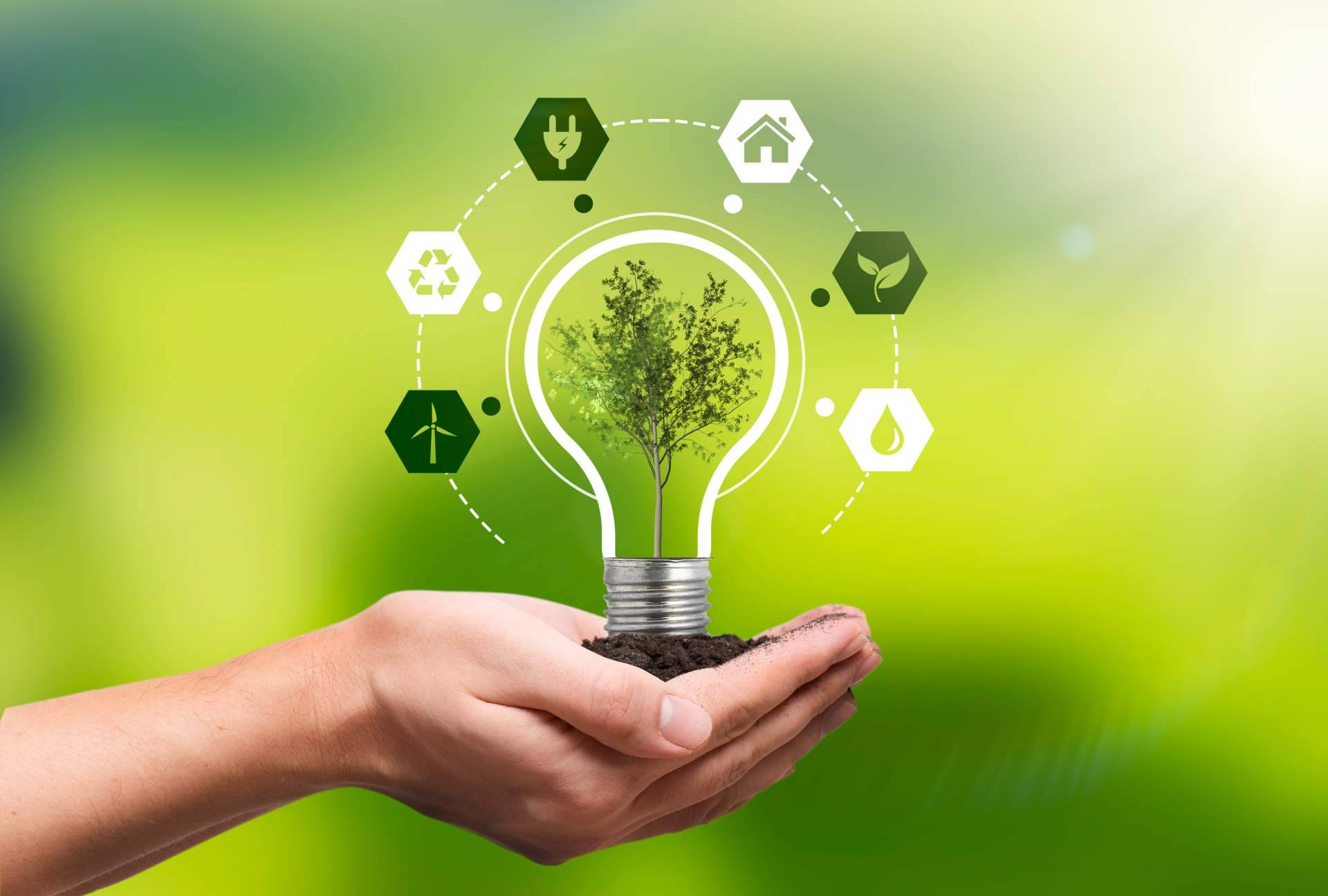 ¿Por qué son importantes los seguros de caución para las empresas de energías renovables de hoy? Consorcio Europeo de Avales lo explica