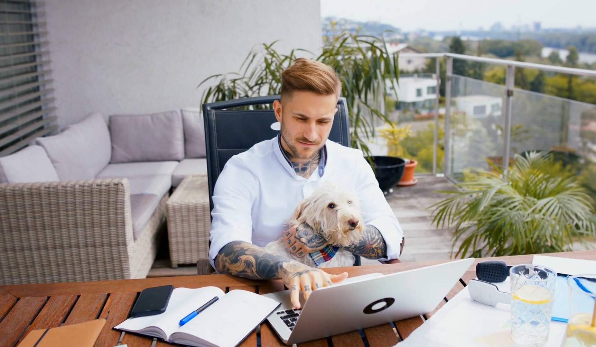 Según Wolves Legacy, 'Buscamos una agencia de marketing con experiencia y completa, y la encontramos'