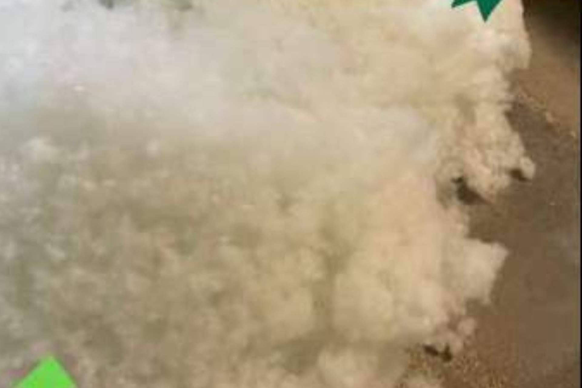 Peluches Cel impulsa un planeta más limpio y sostenible con su diseño de peluches ecológicos