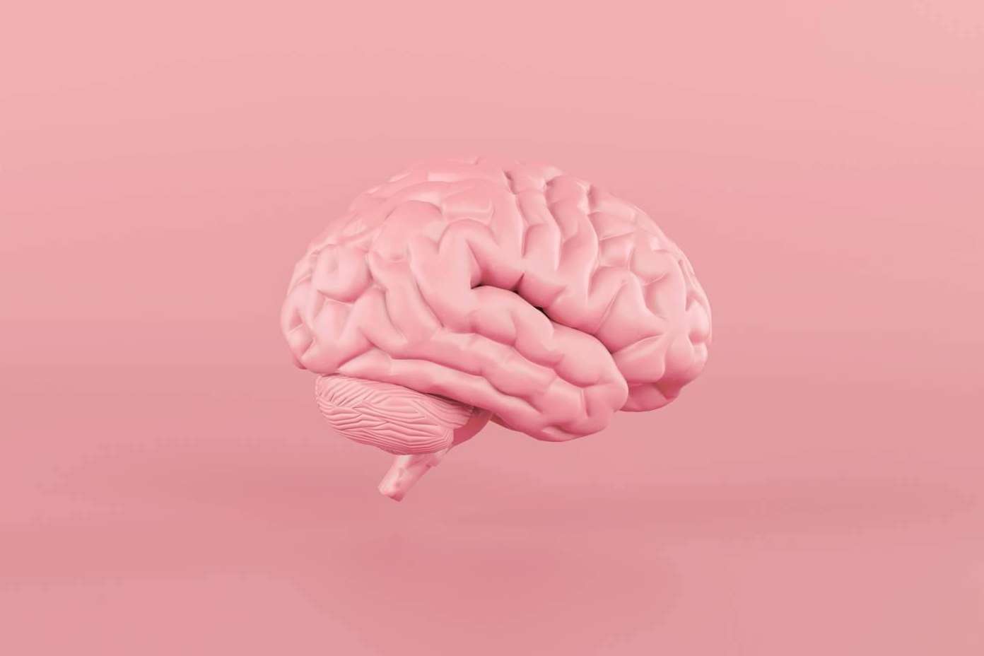 Desarrollar la plasticidad cerebral con los productos de Store Naturopatía