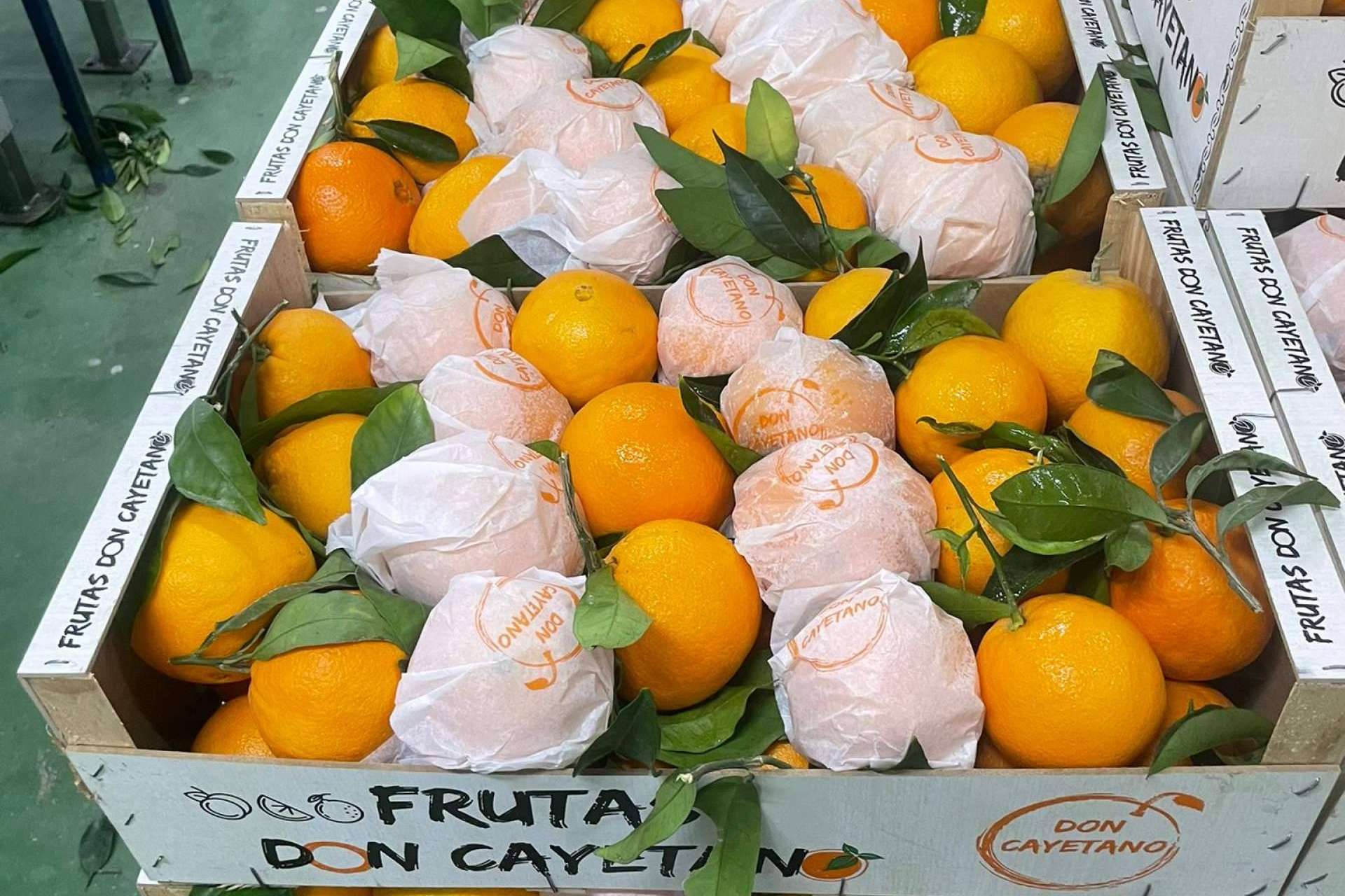 La empresa española Frutas Don Cayetano sigue en expansión