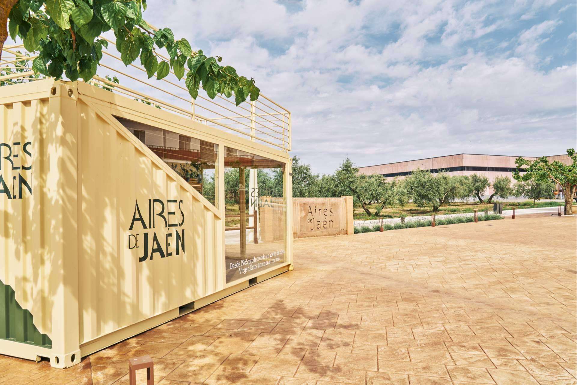 Aires de Jaén y la experiencia de oleoturismo que ofrecen