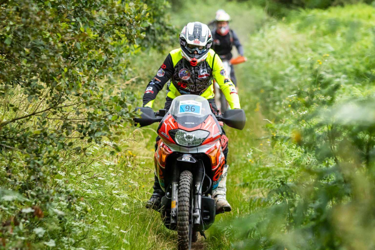 Las opciones de pegatinas para moto personalizada con ADHESIVOSEMBARRADOS