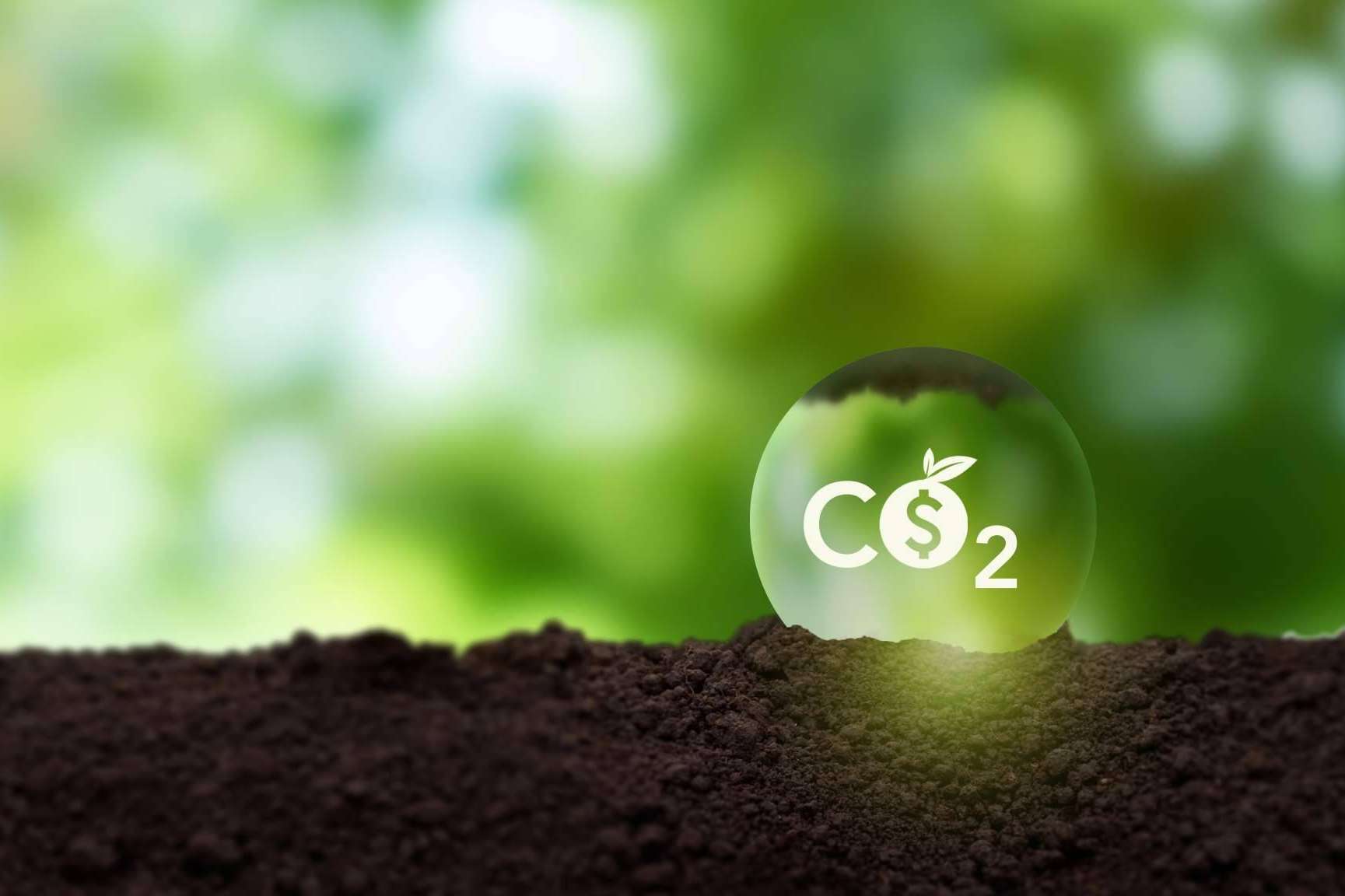 ClimateTrade, el marketplace para comprar bonos de carbono